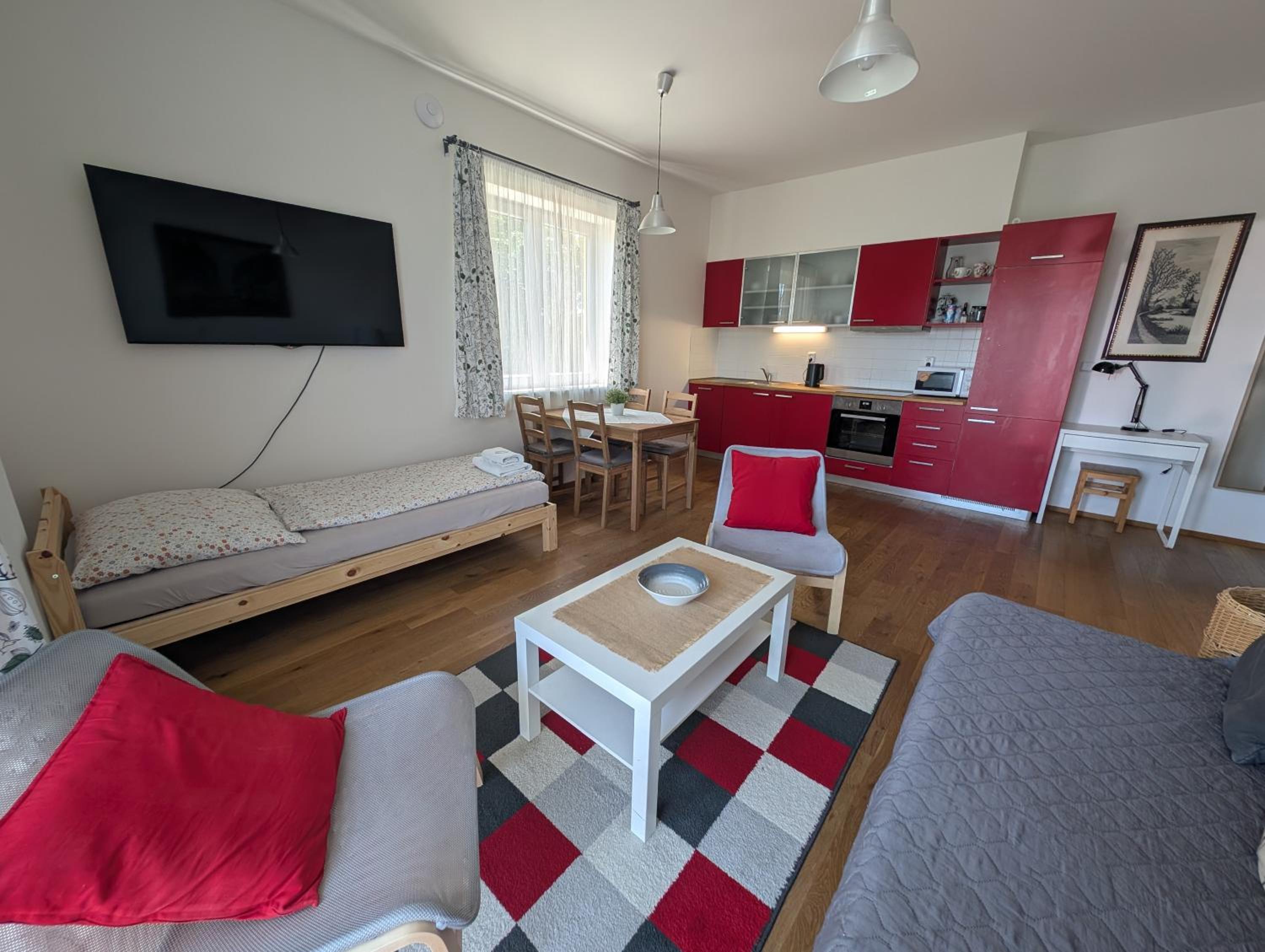 One-Bedroom Apartment with View