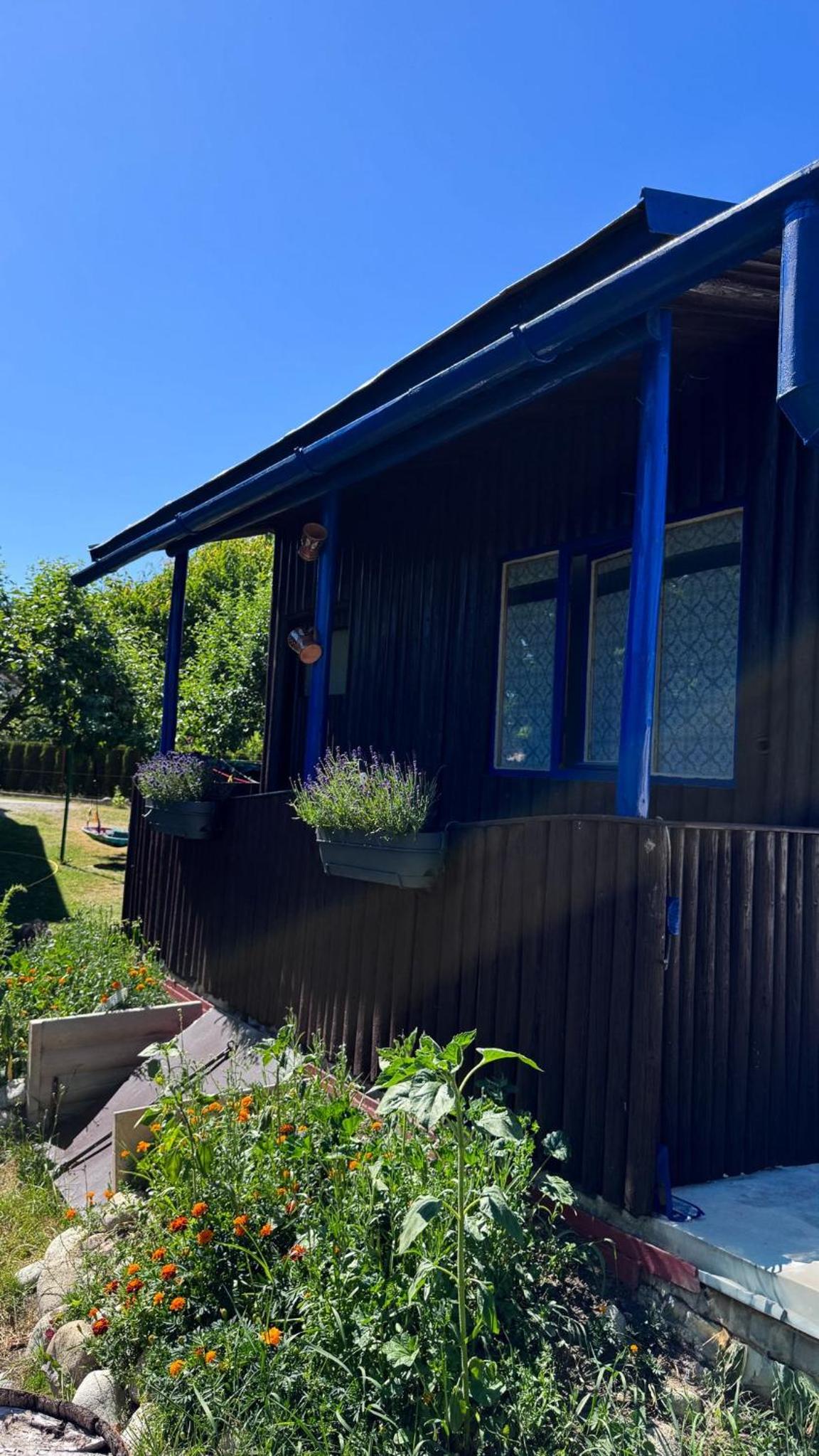 Double Room with Shared Bathroom