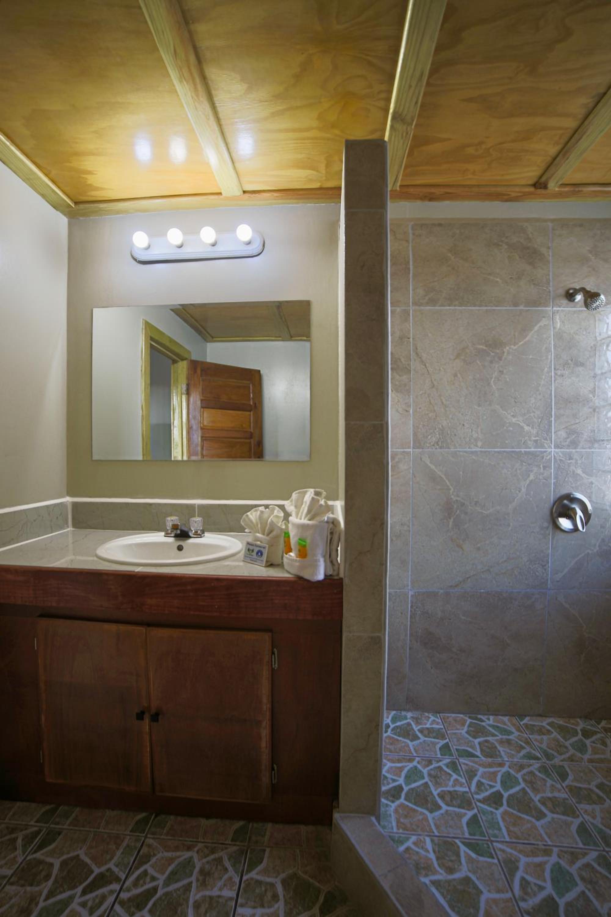 Deluxe Single Room photo 2