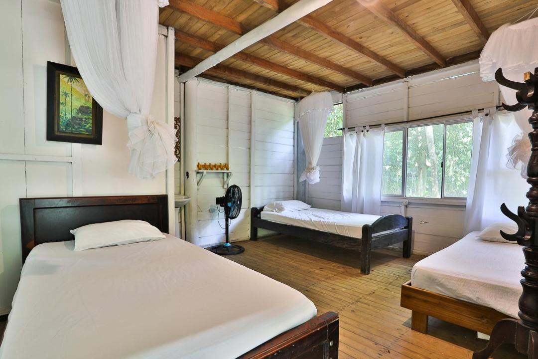 Family Room with Shared Bathroom photo 1