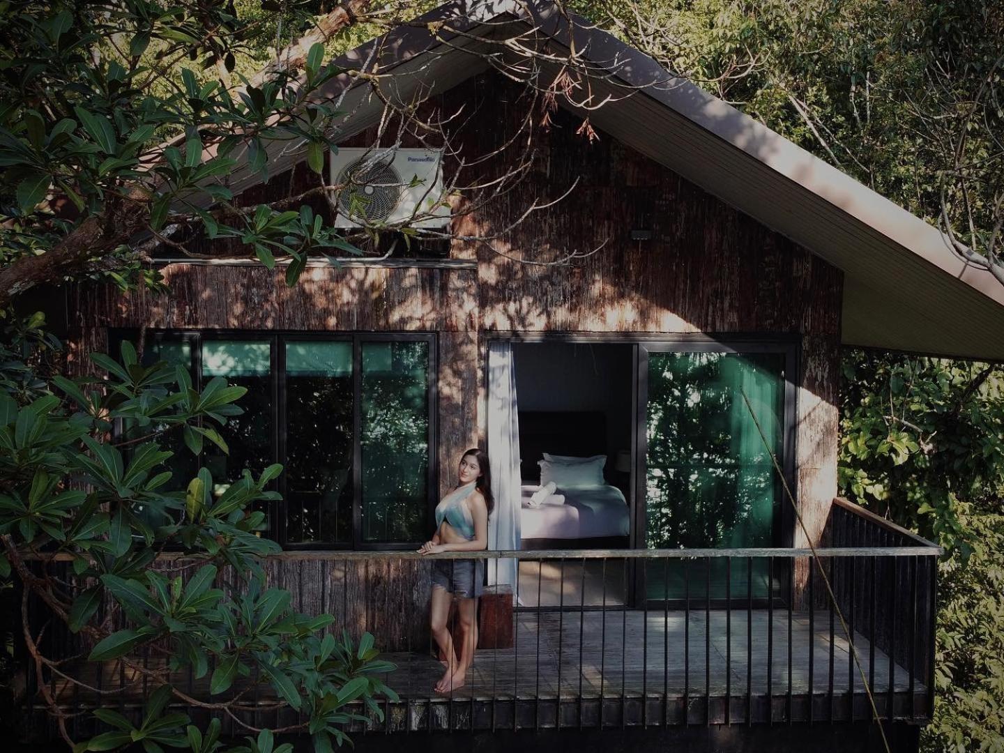Premium Tree House