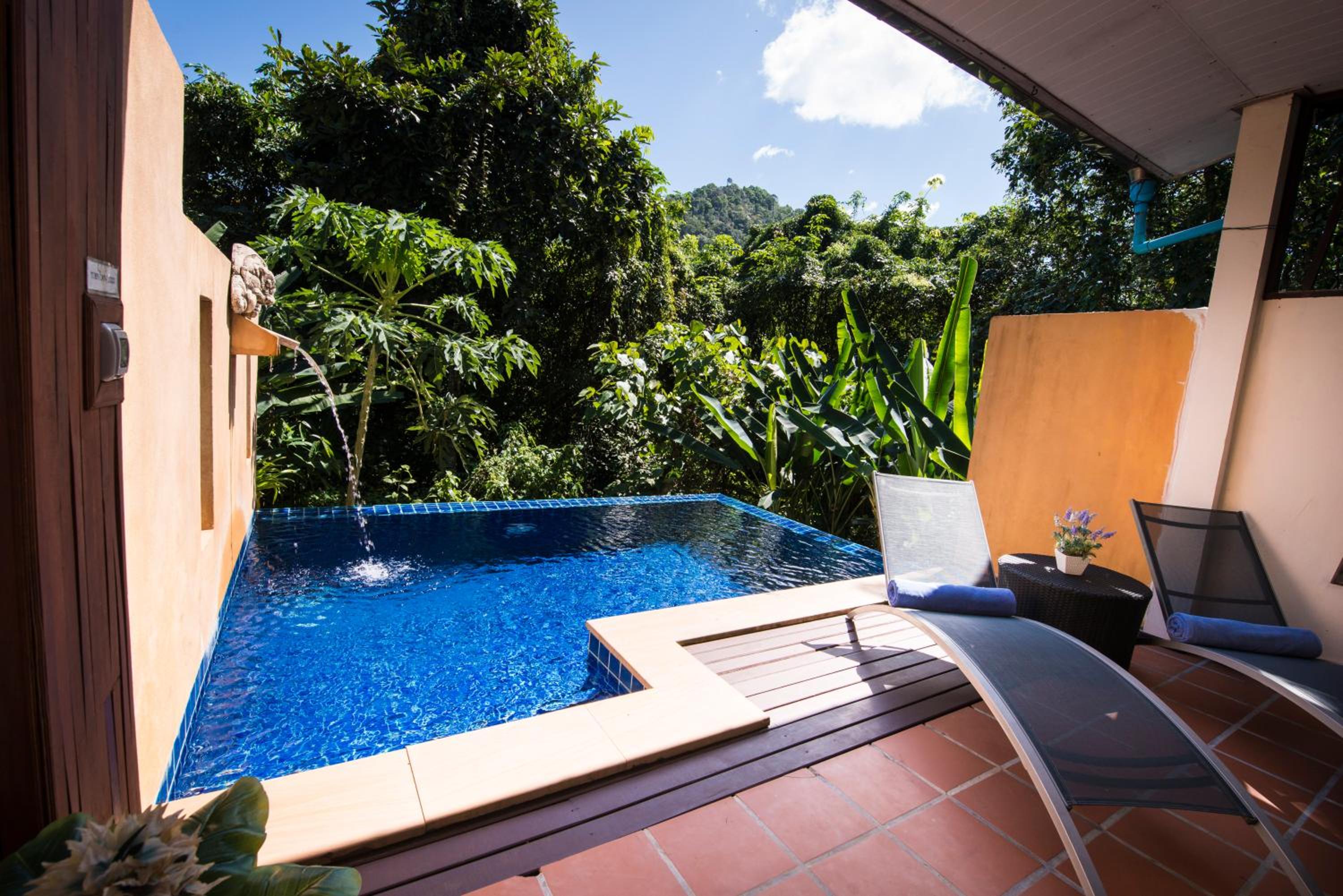 Deluxe Double Room with Private Pool - Photo 7