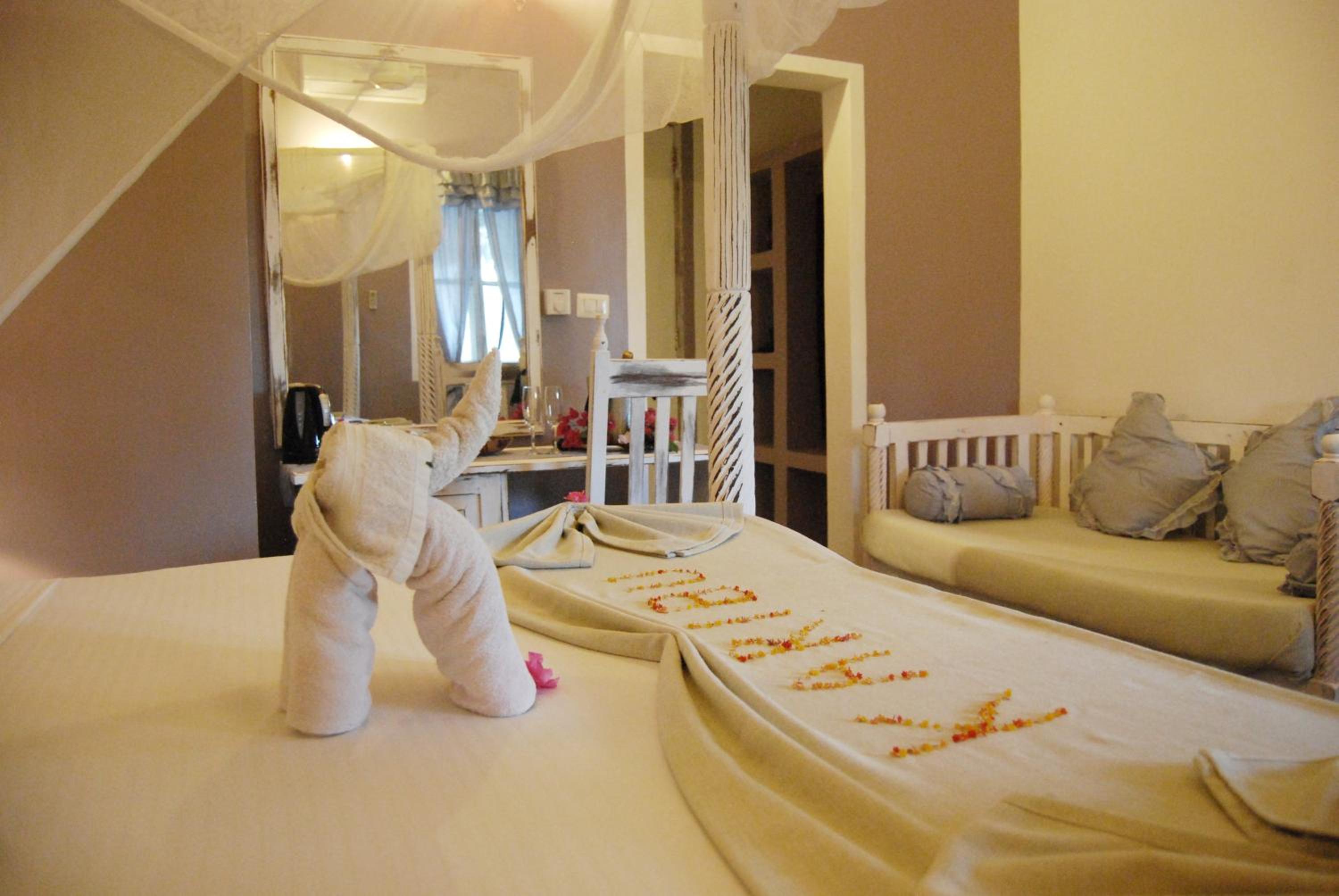 Premium Room photo 2