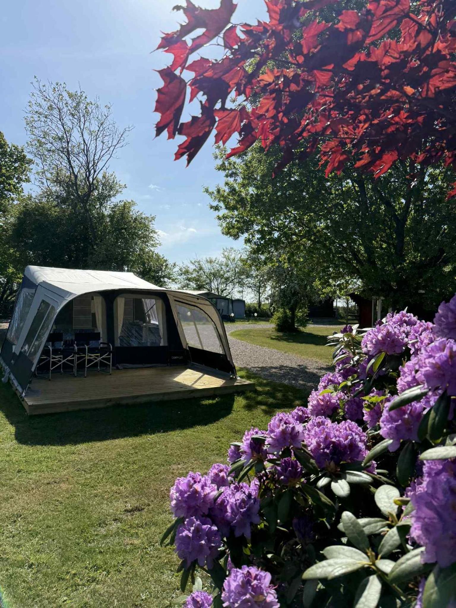 Tent photo 1