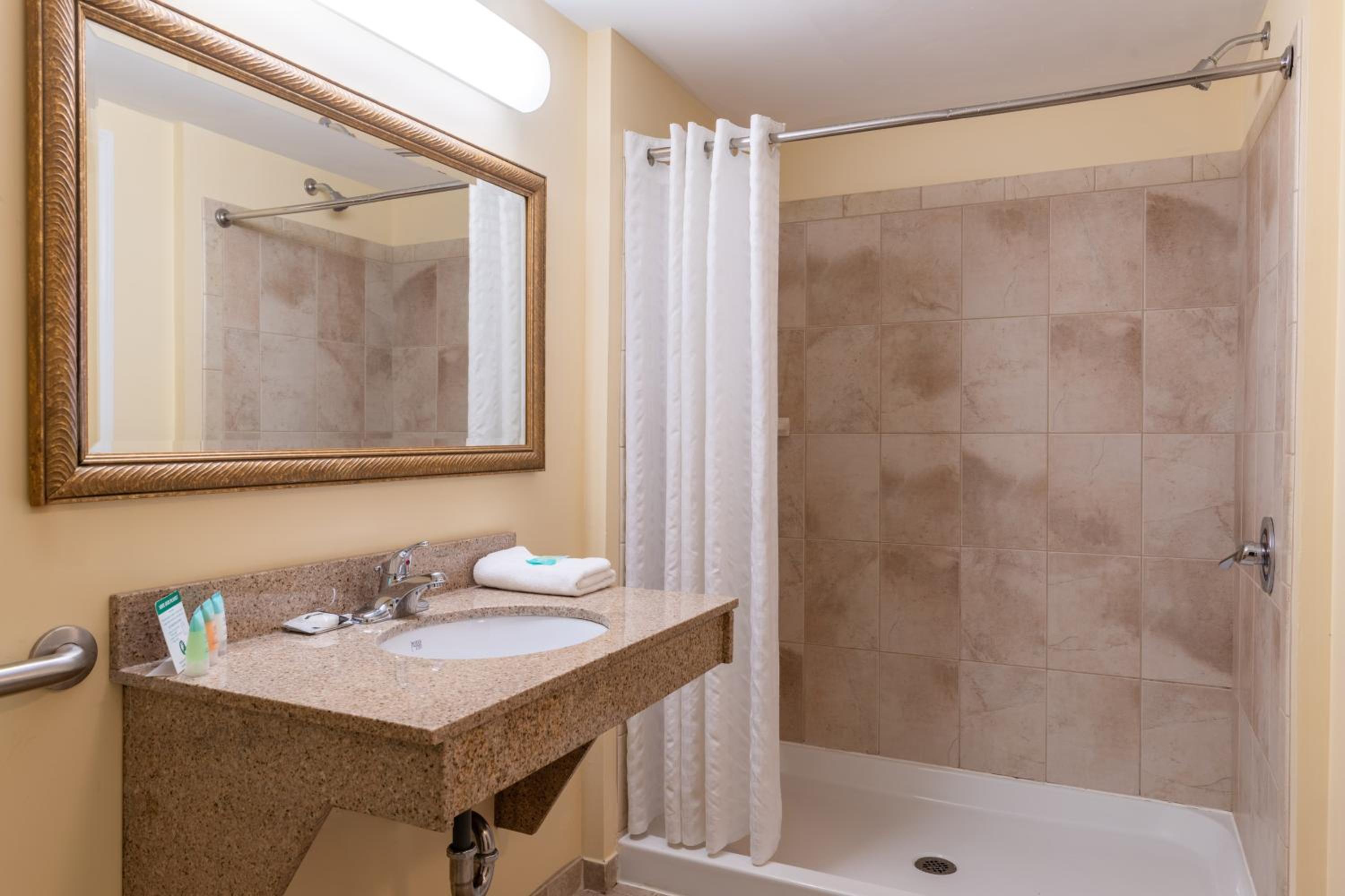 King Suite - Photo 5
