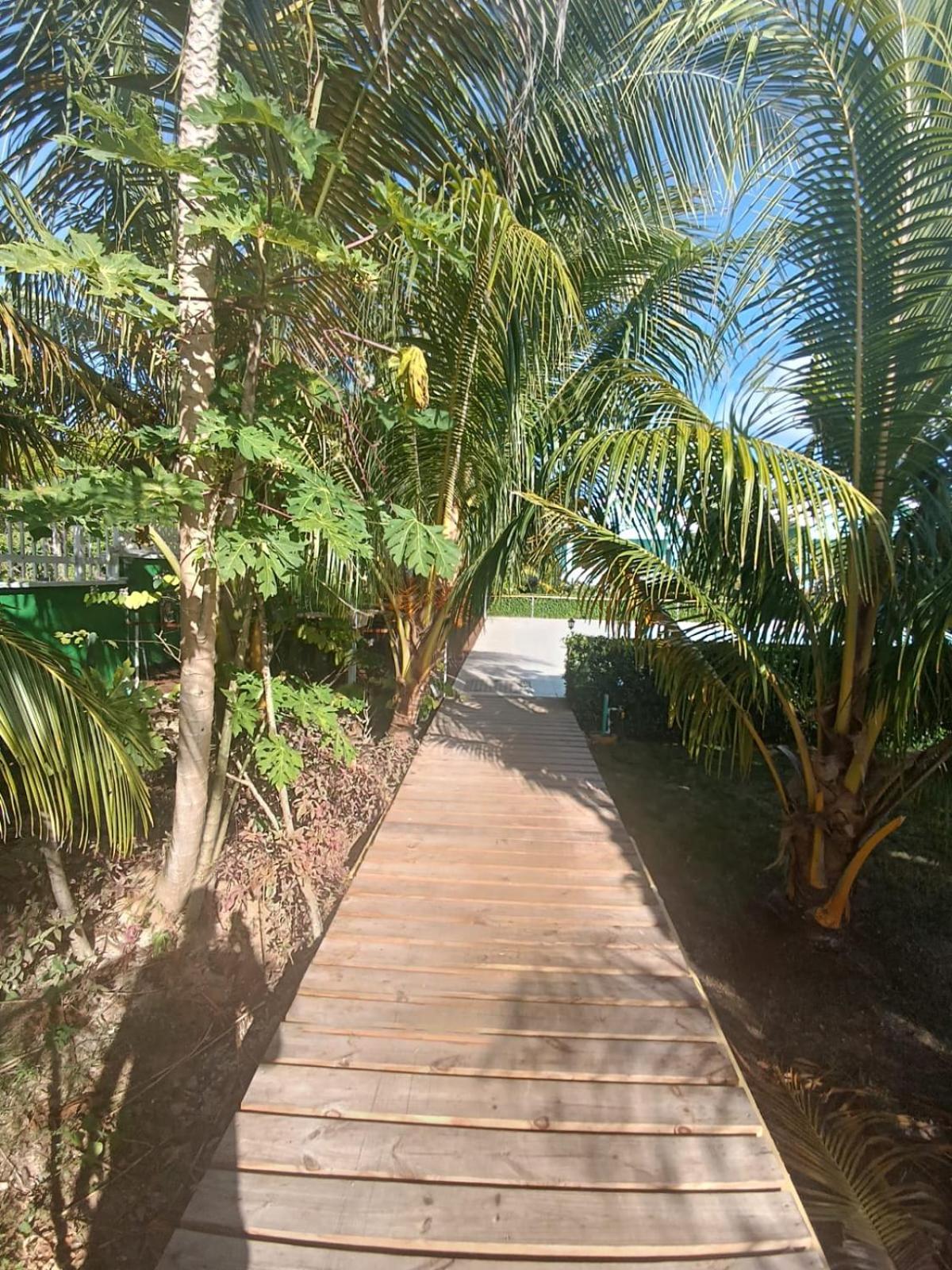 Deluxe Bungalow with Garden View photo 3