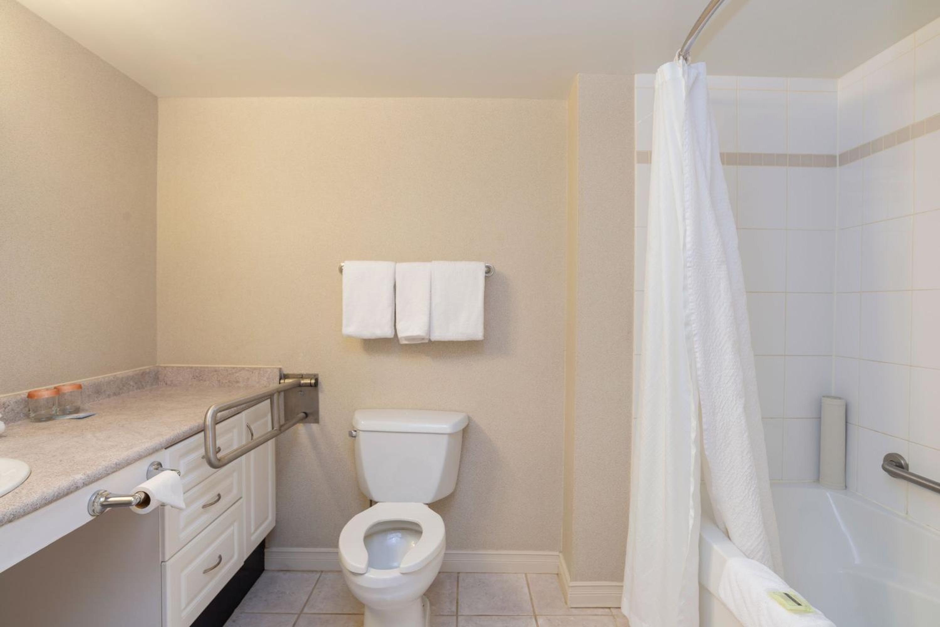 Accessible Suite, 1 King Bed, Sofa Bed, Kitchen