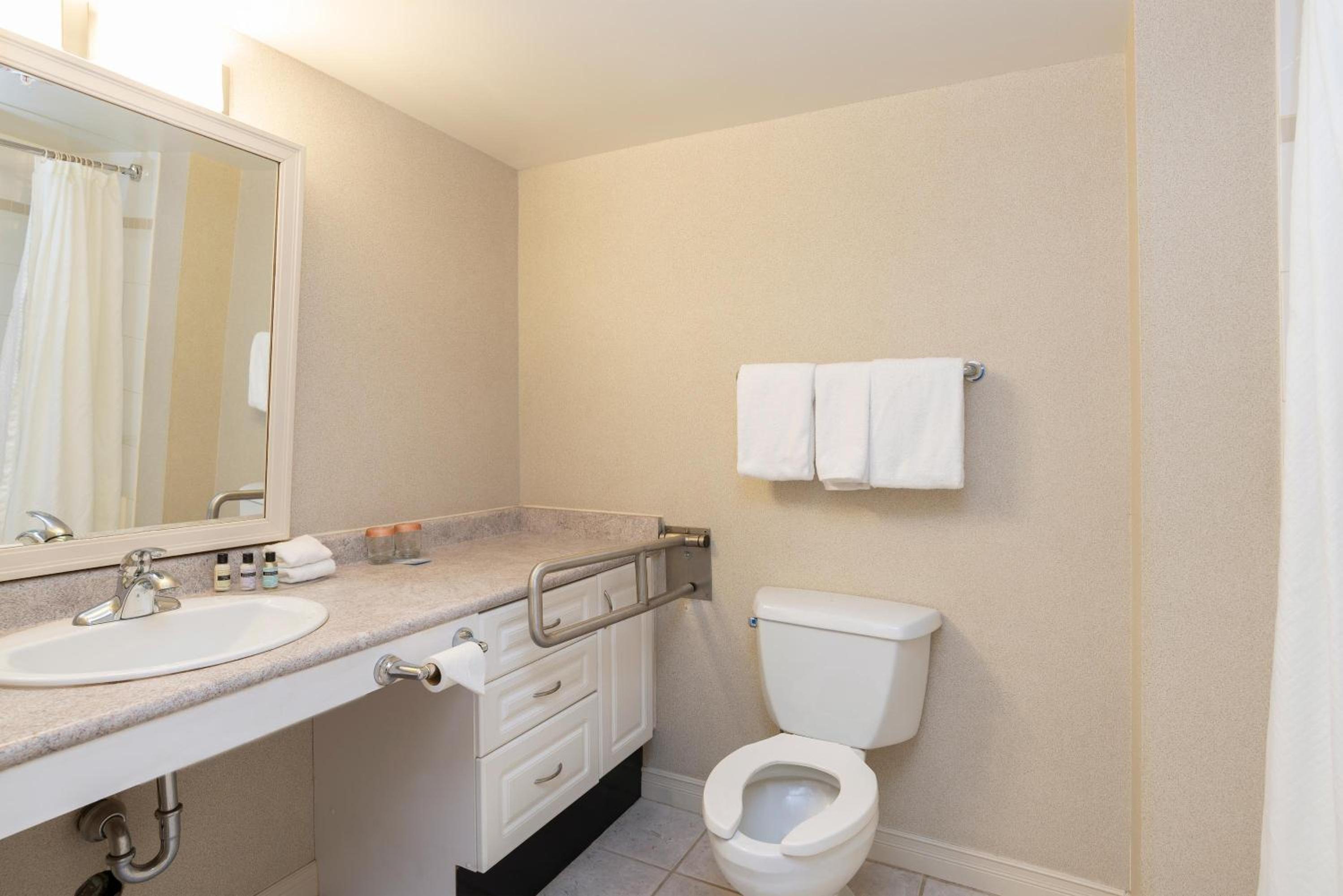 Accessible Suite, 1 King Bed, Sofa Bed, Kitchen