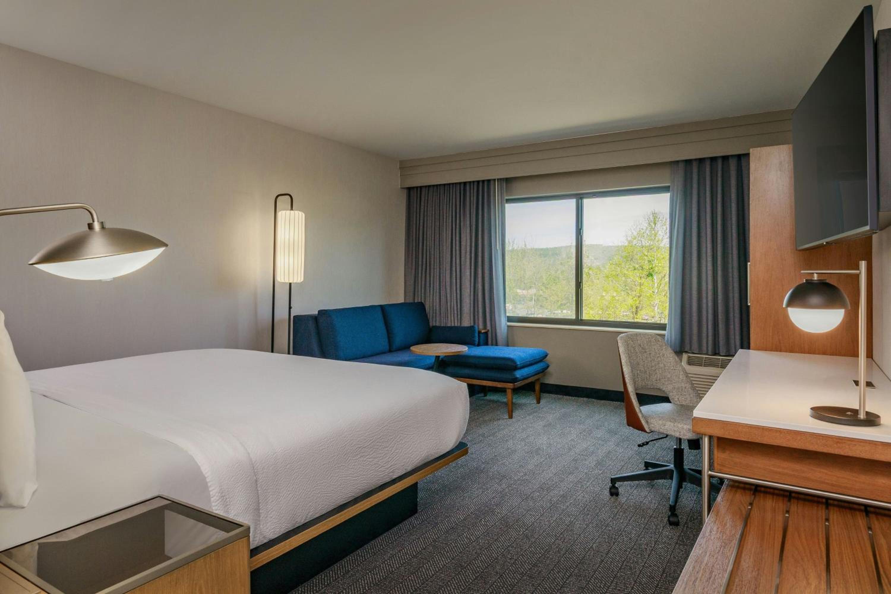 King Room with Bathtub and Sofa Bed - Mobility Access/Hearing Accessible photo 1