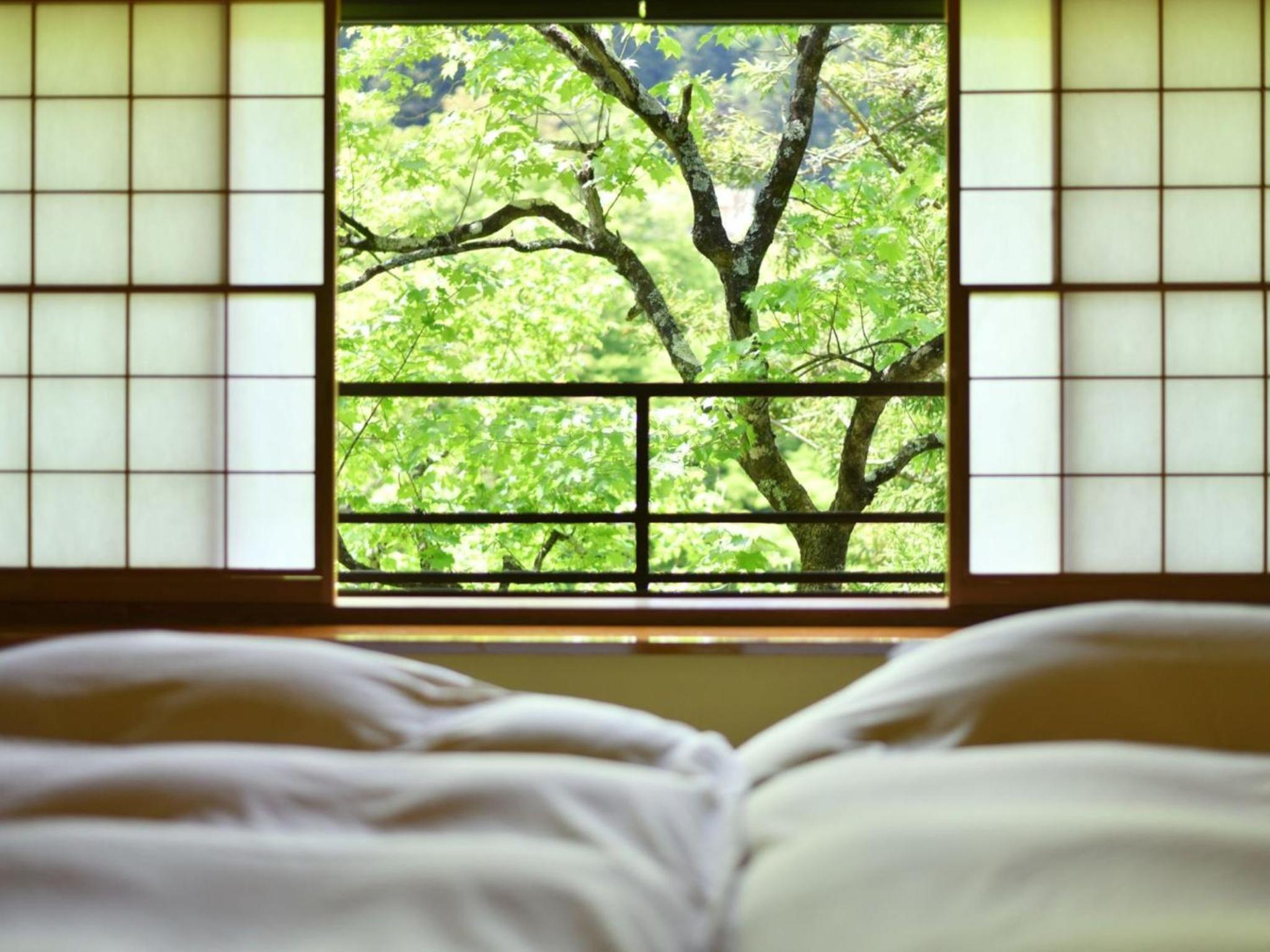 Deluxe Double or Twin Room with River View photo 1