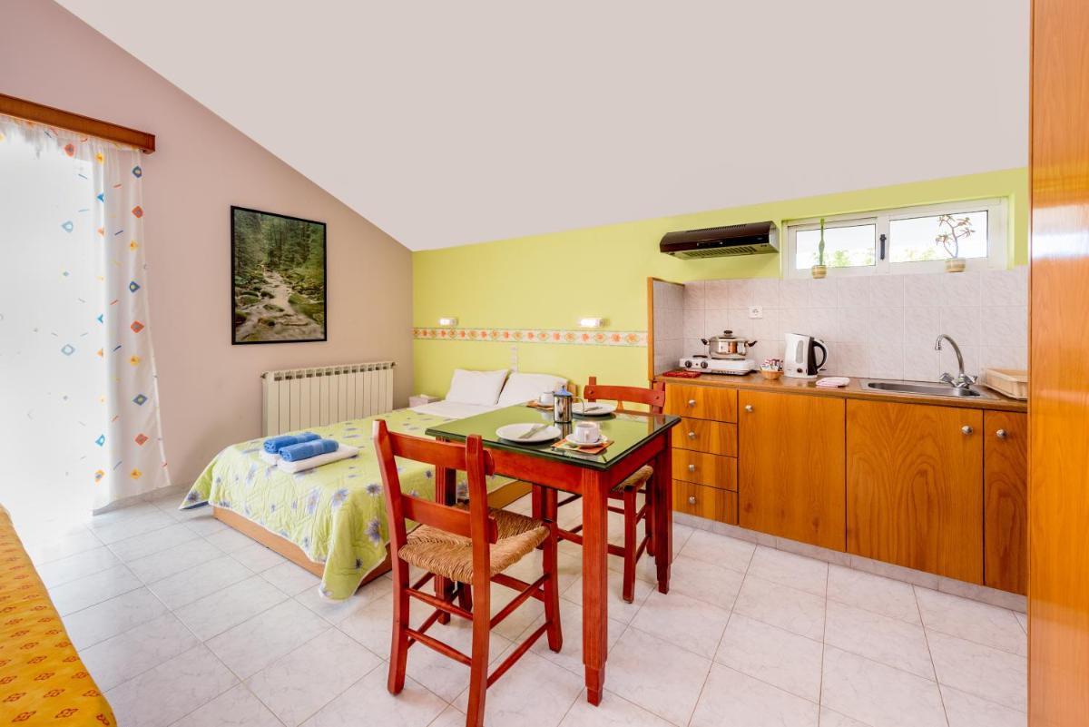 Studio with Terrace photo 3