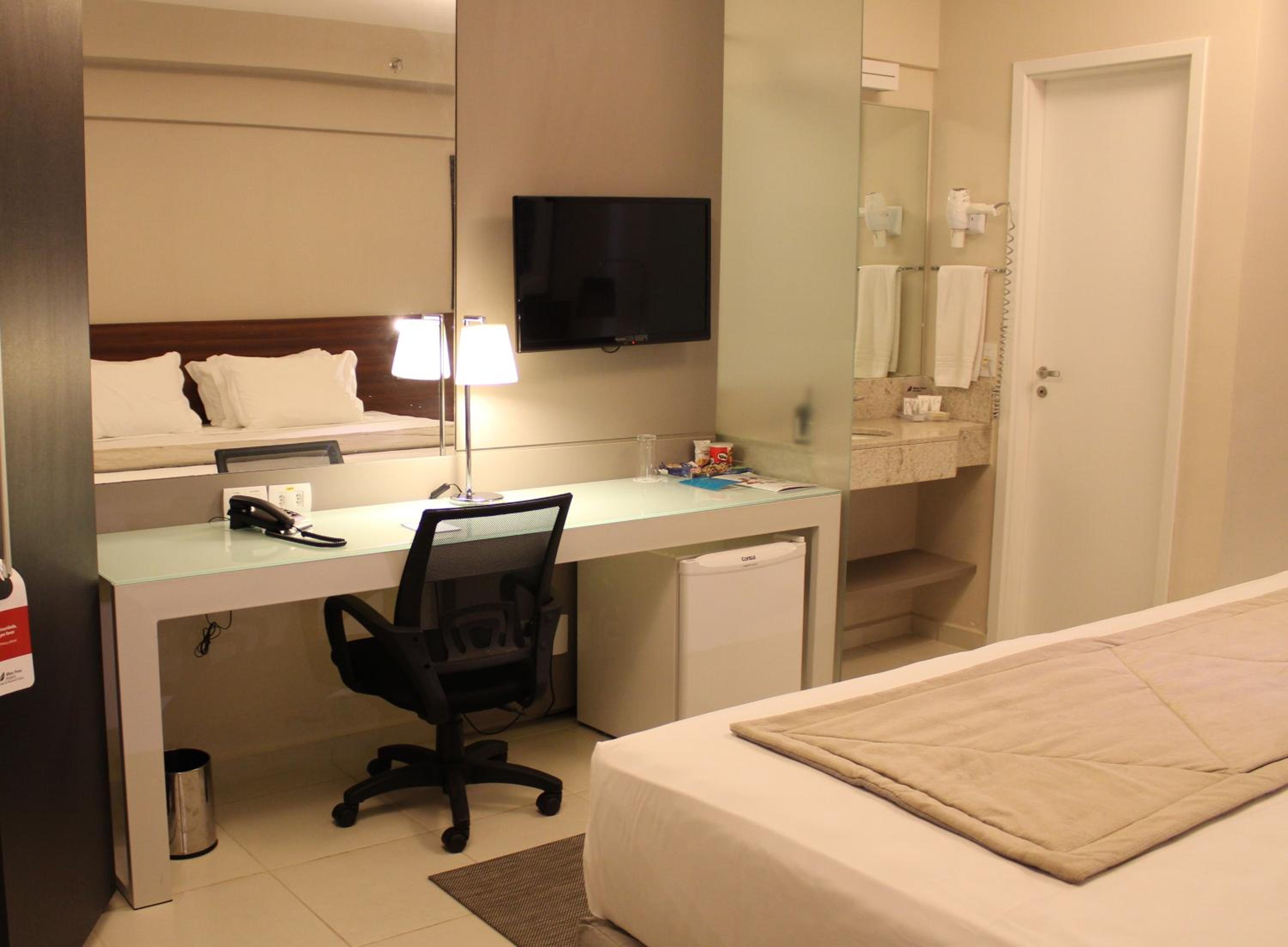 Luxury Apartment