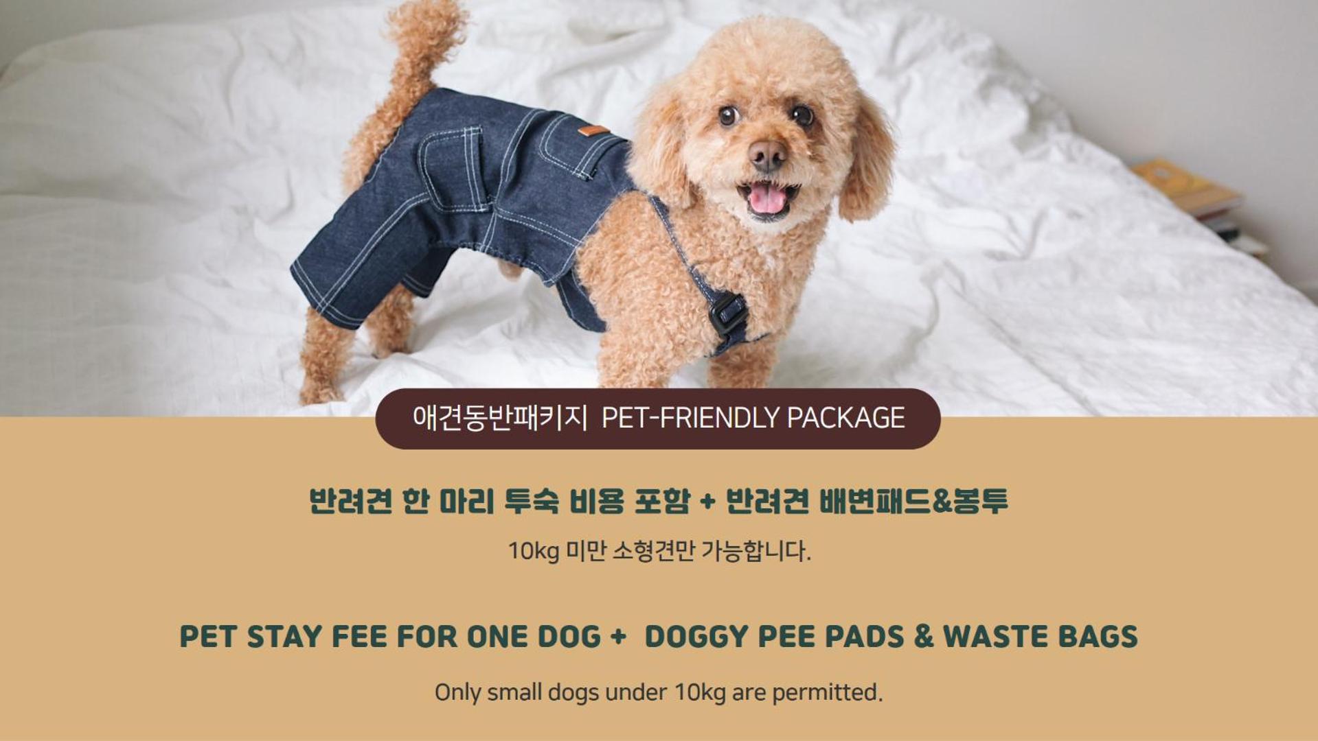 Deluxe Double Room – Includes Stay for One Small Dog (Under 10kg) - Photo 1