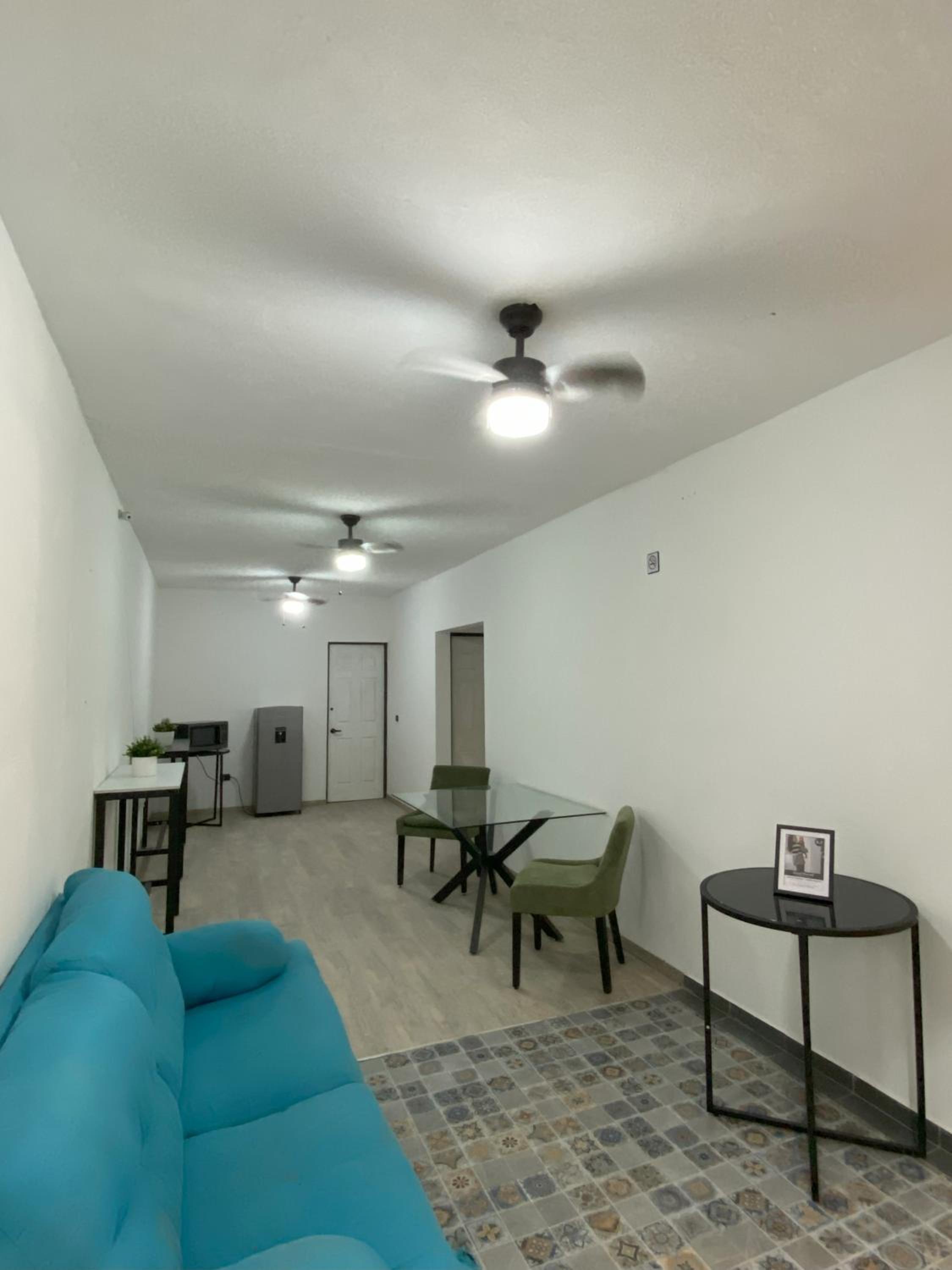 One-bedroom Loft Apartment  photo 3
