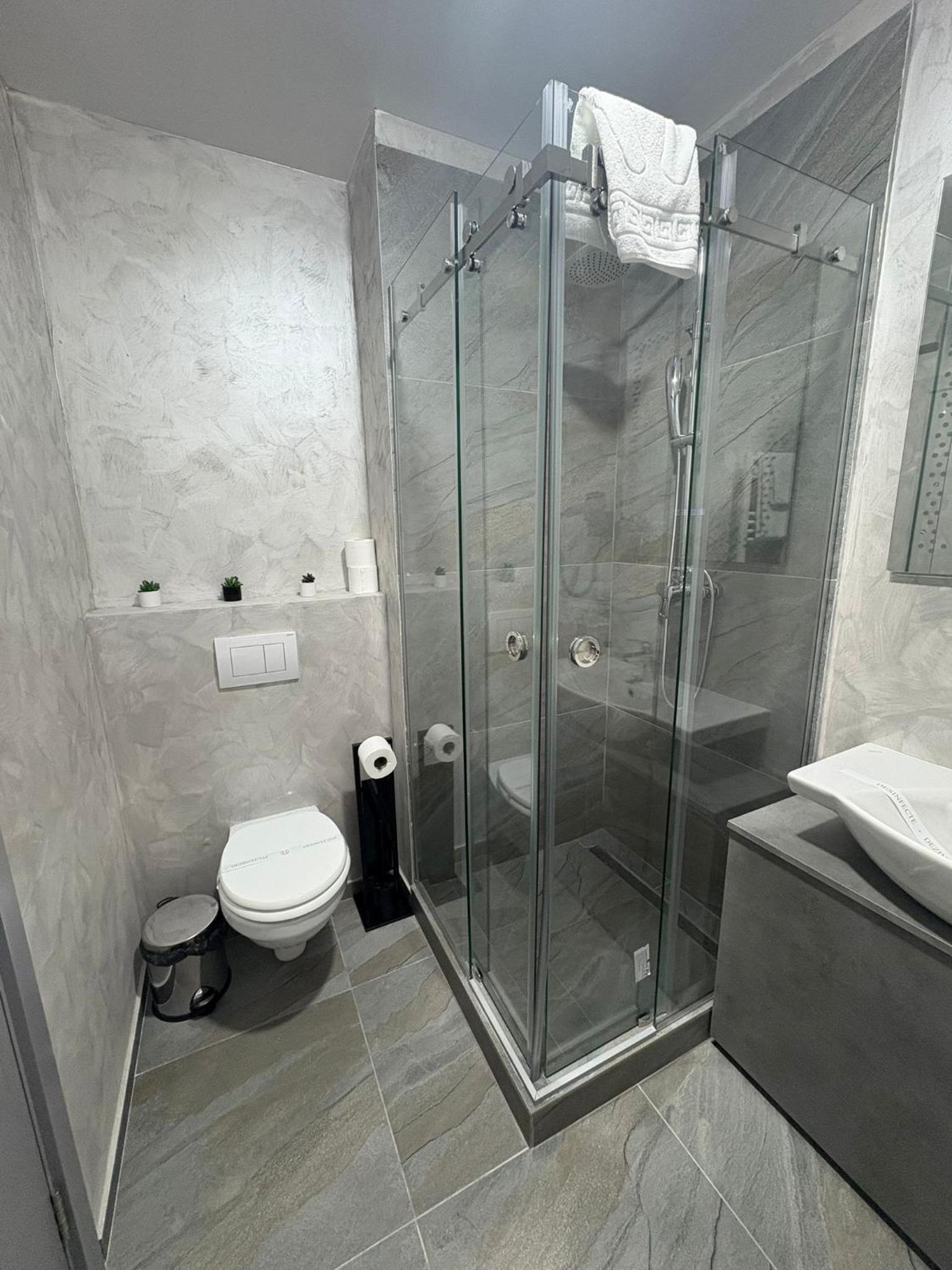 Deluxe One-Bedroom Apartment