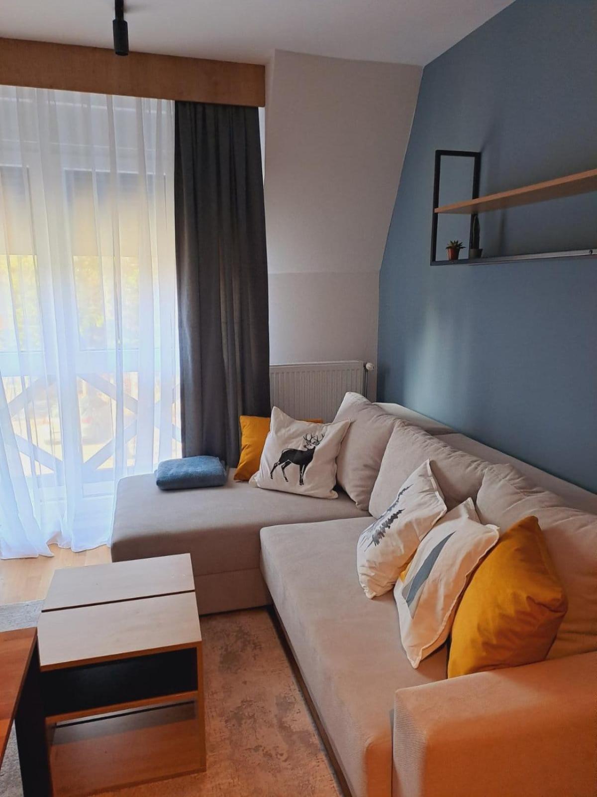 One-Bedroom Apartment photo 3