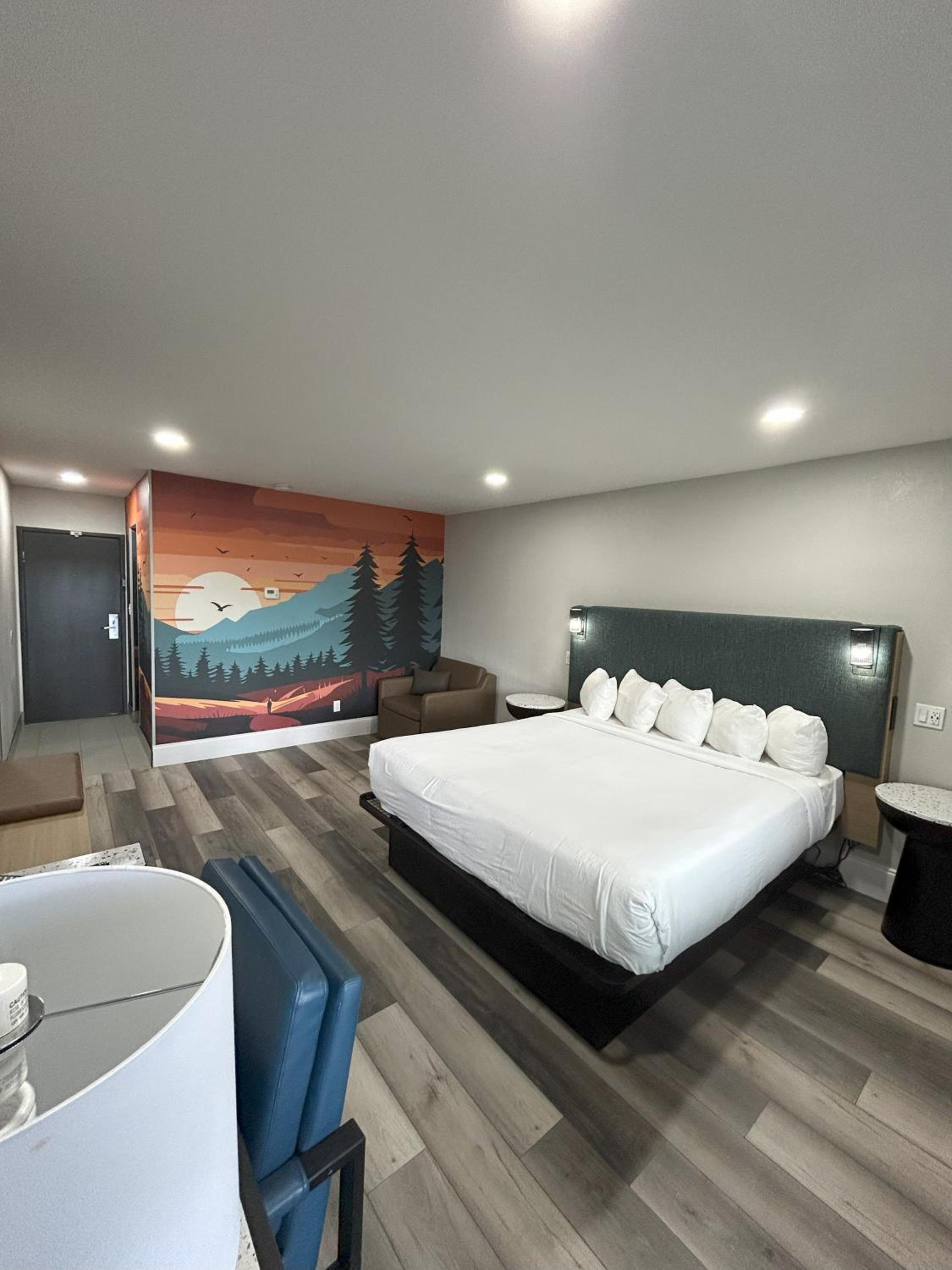King Room - Non-Smoking - Photo 9