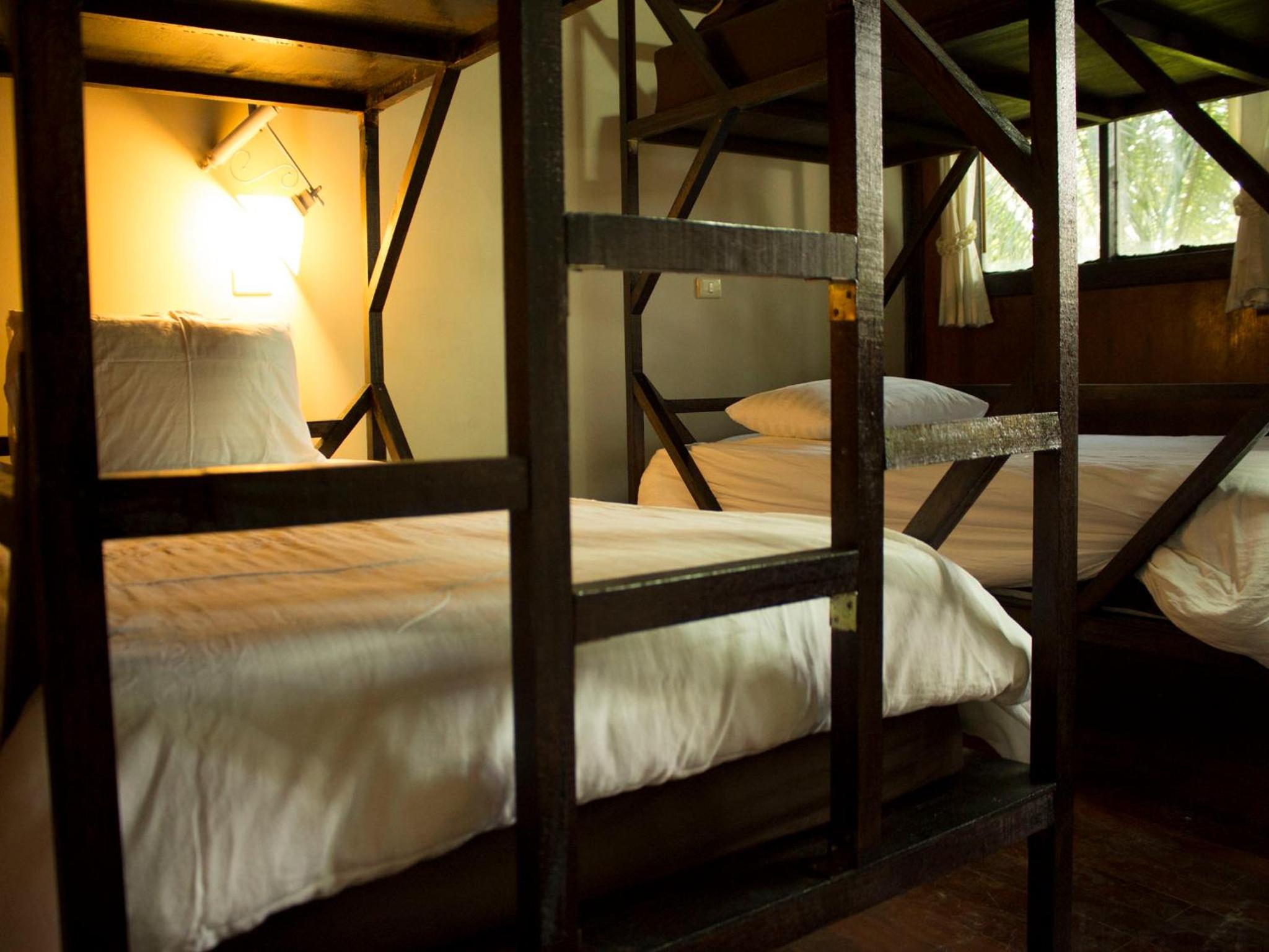 Bed in 4-Bed Dormitory Room photo 1