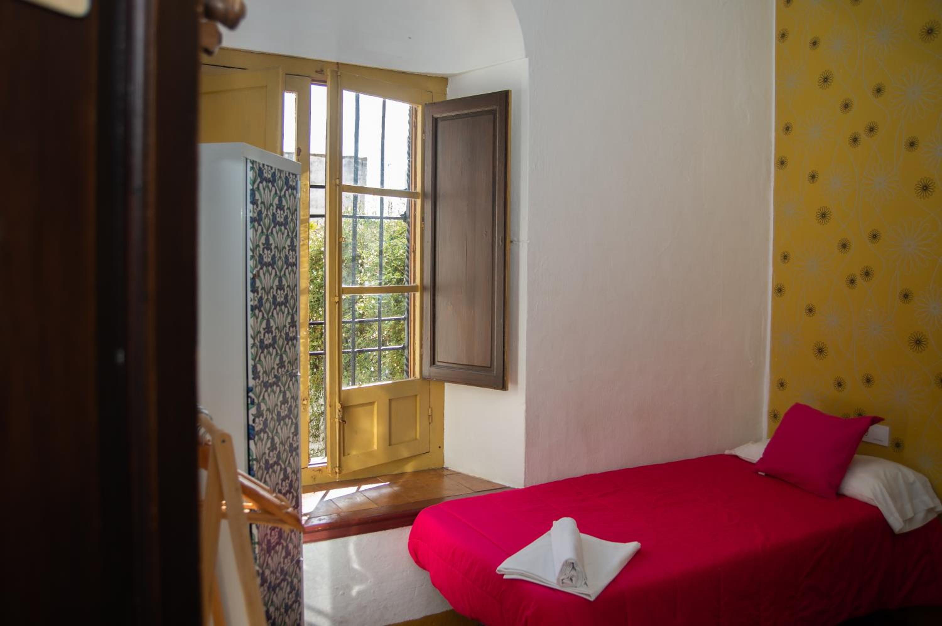 Single Bed in Female Dormitory Room