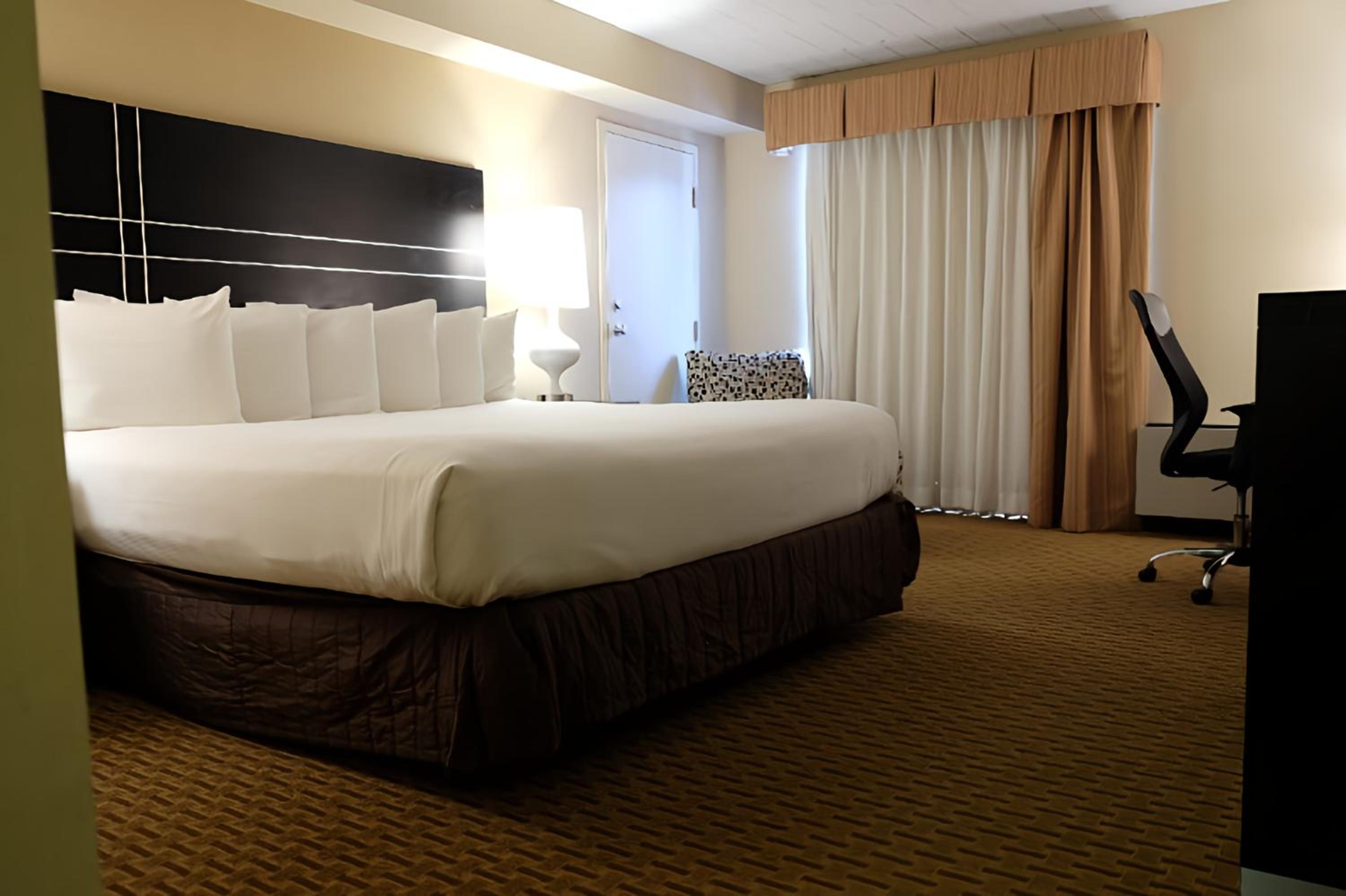 King Room - Photo 4