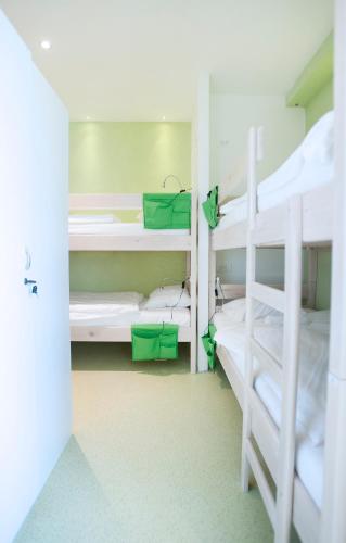 Bunk Bed in 8-Bed Mixed Dormitory Room