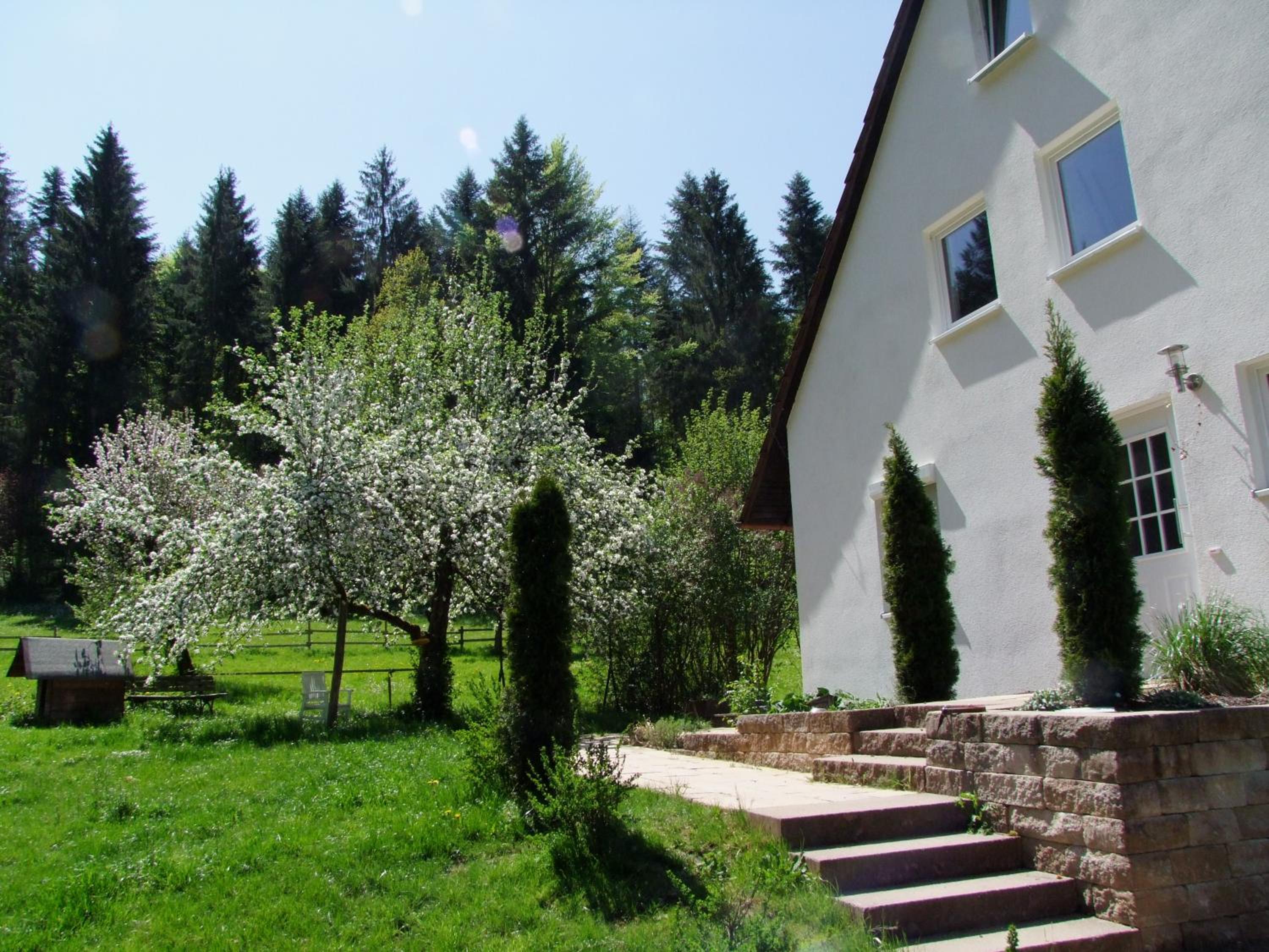 Apartment - Split Level photo 2