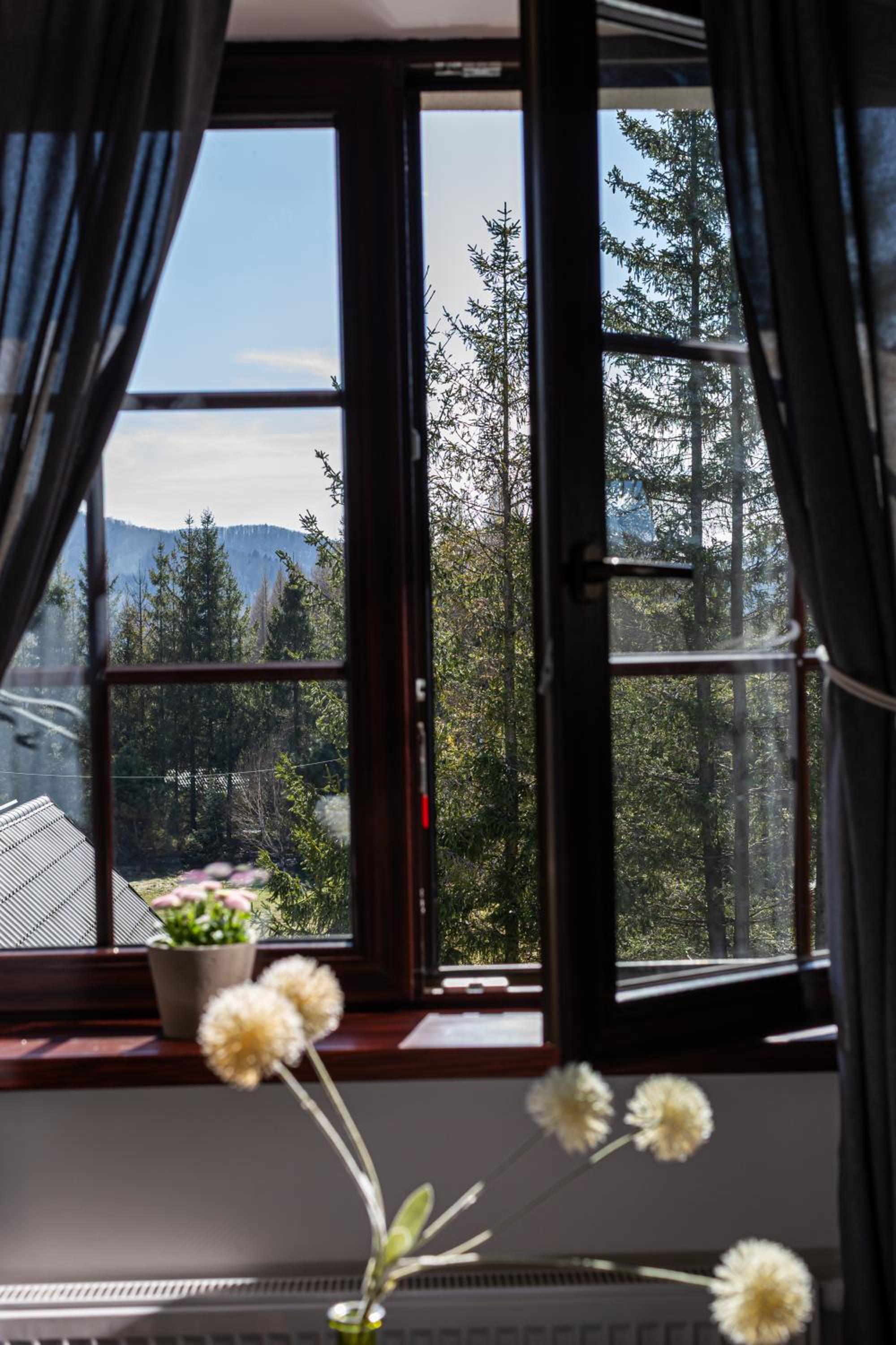 Double Room with Mountain View