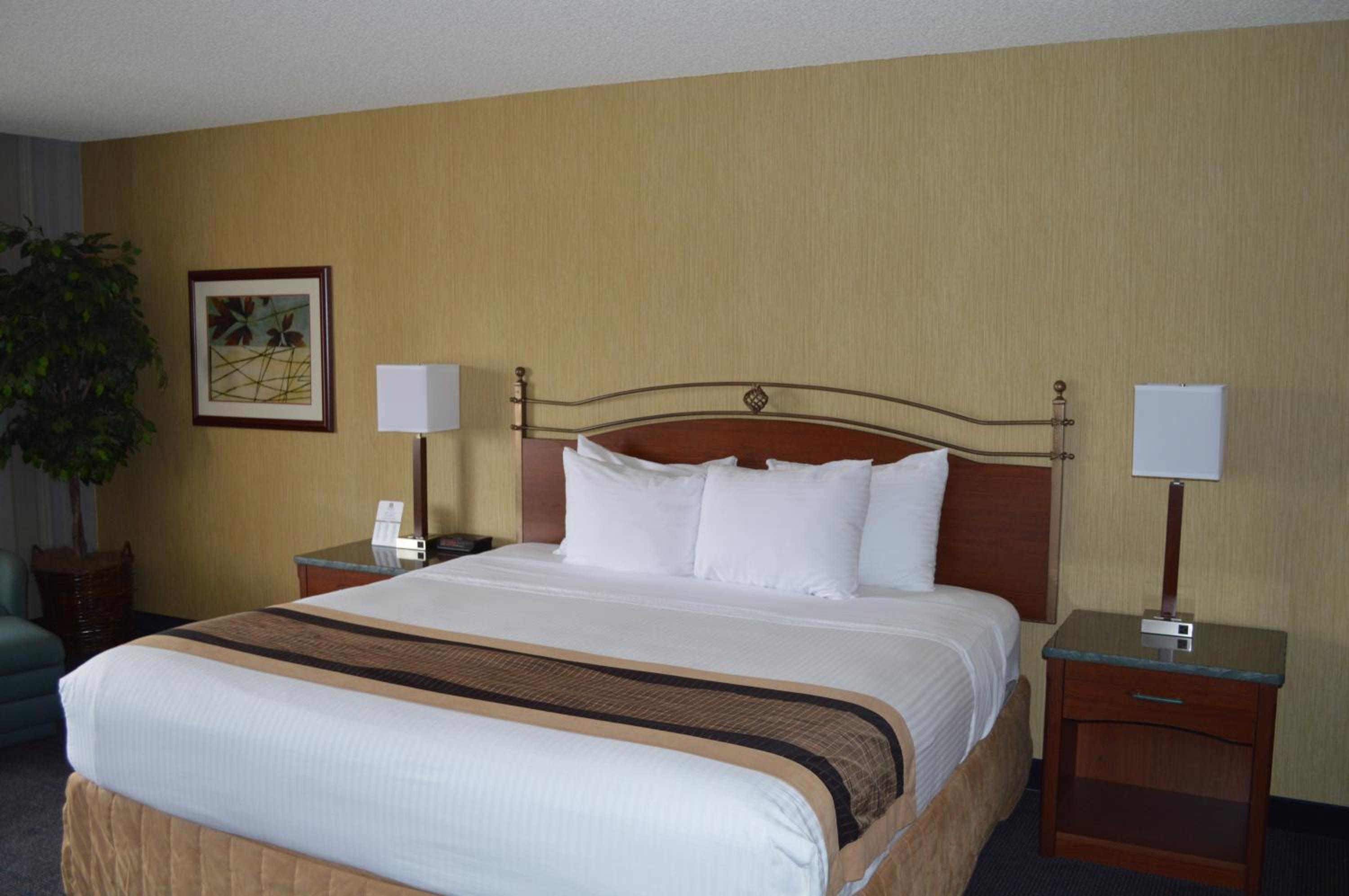 King Room - Non-Smoking photo 3