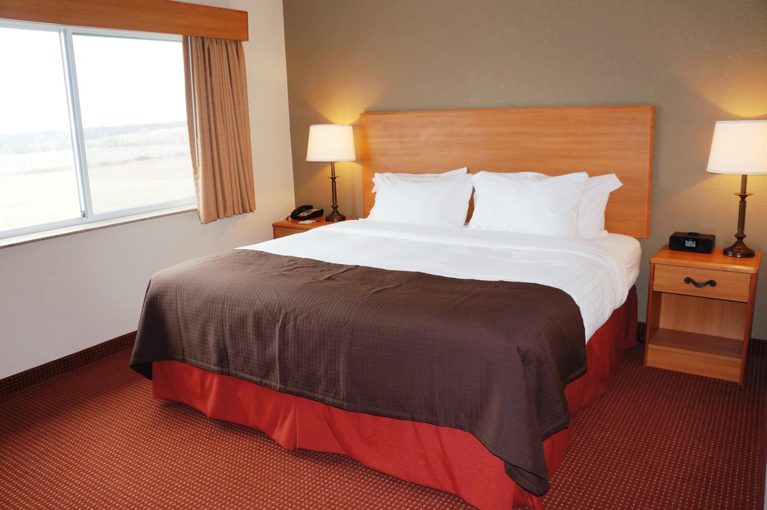 King Room with Roll-in Shower - Mobility Access/Non-Smoking photo 1