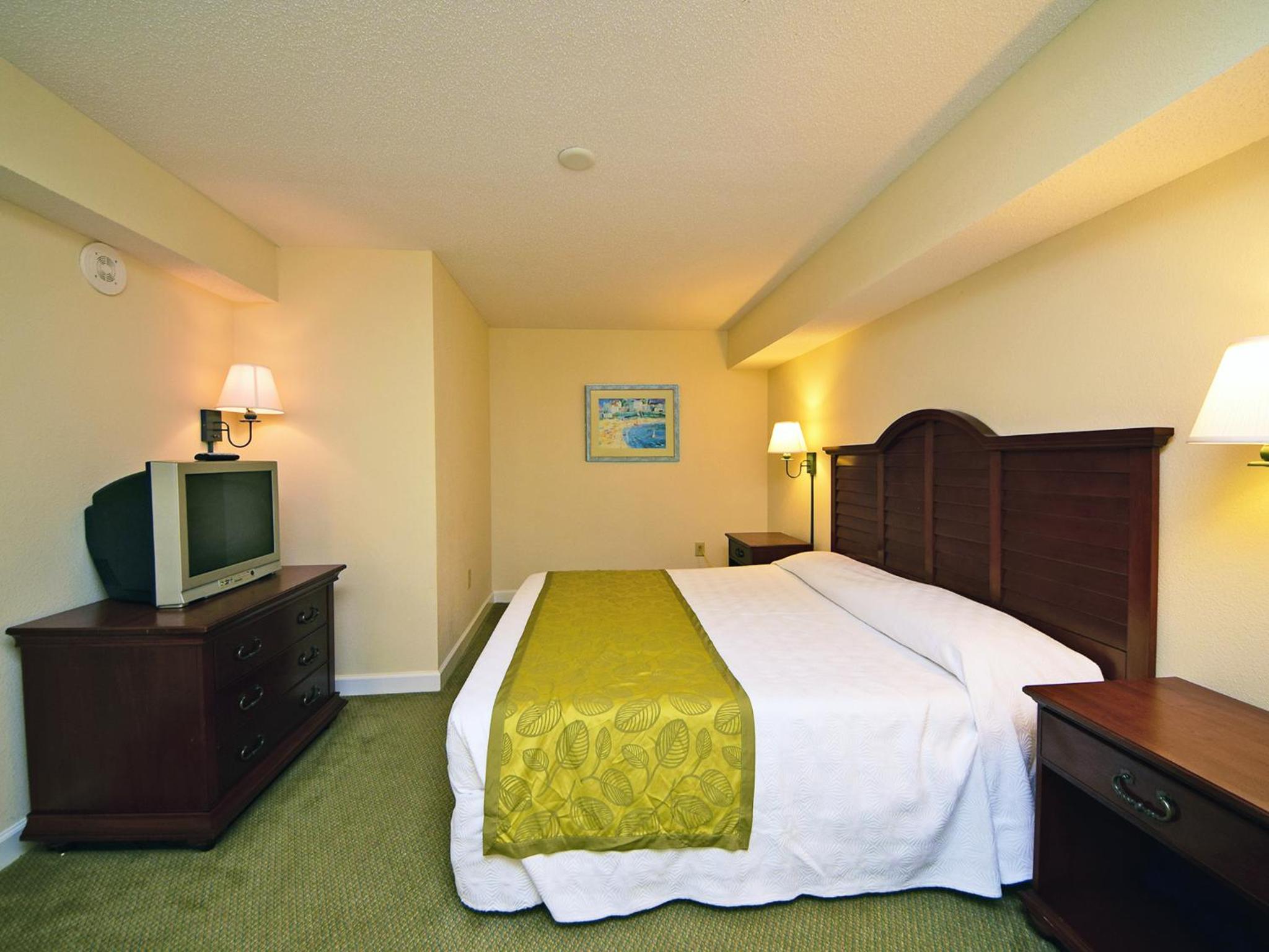 1 Bedroom 1 Bath Side-view Condo with 1 King and Wall Bed - T31