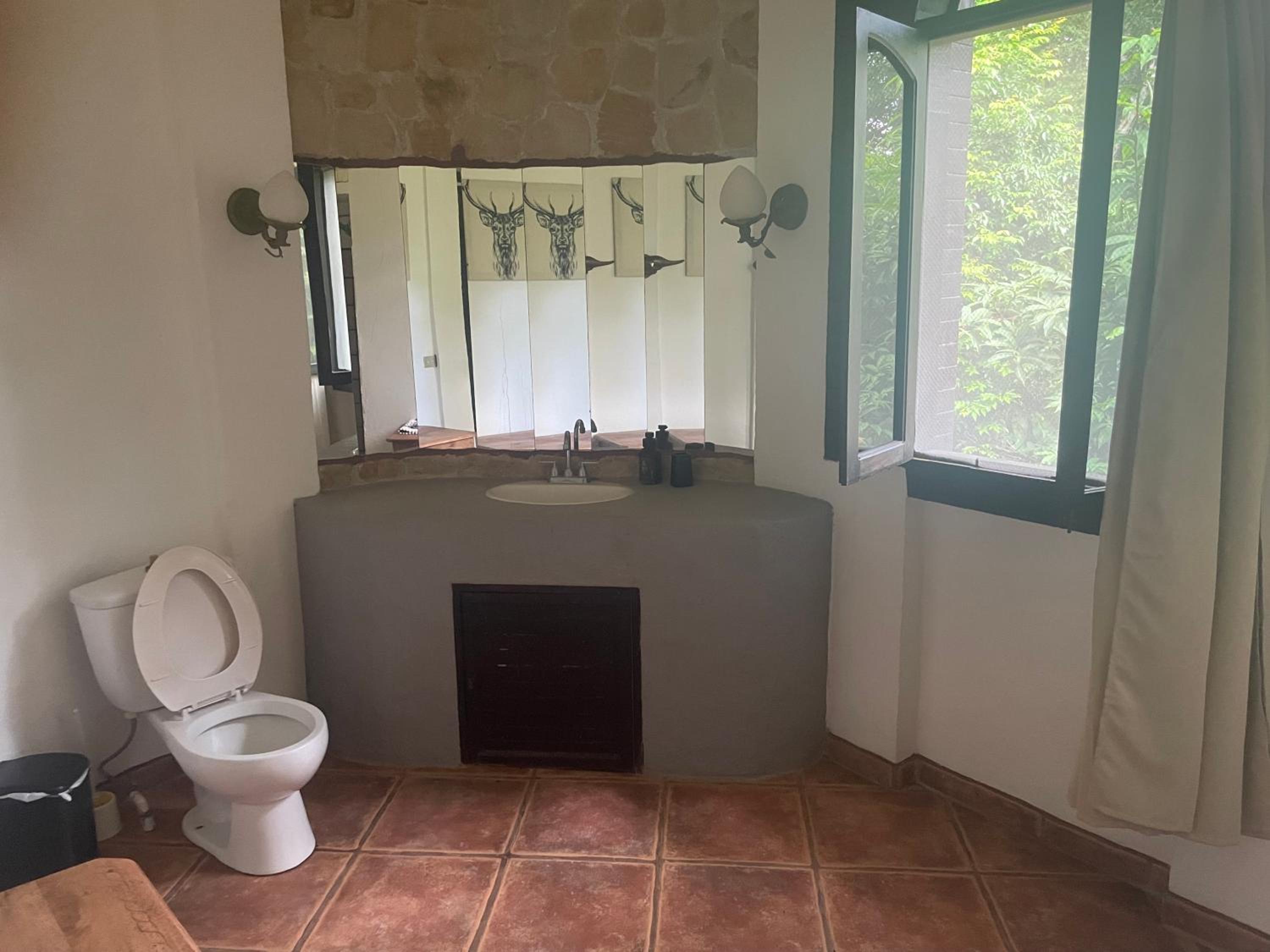 Junior Suite with Terrace