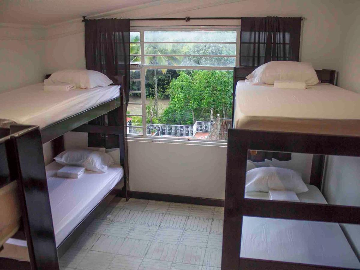 Bed in 4-Bed Dormitory Room photo 1