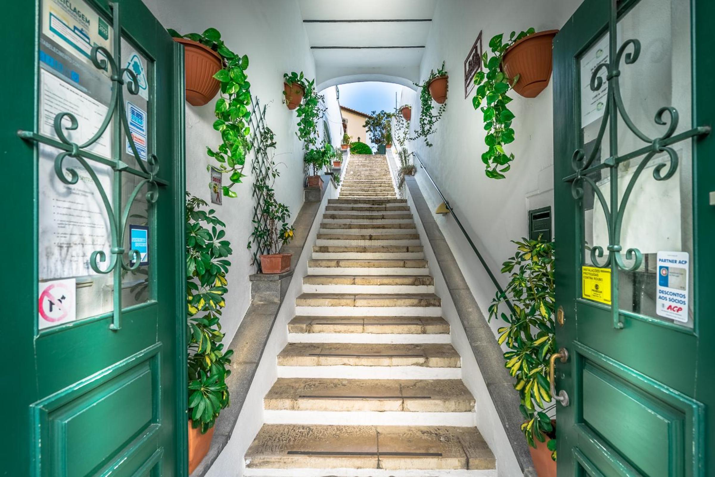 Twin Room with Terrace photo 2