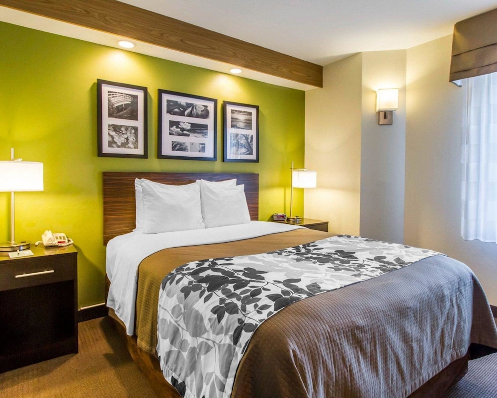 Standard Room, 1 Queen Bed, Accessible, Non Smoking - Photo 6