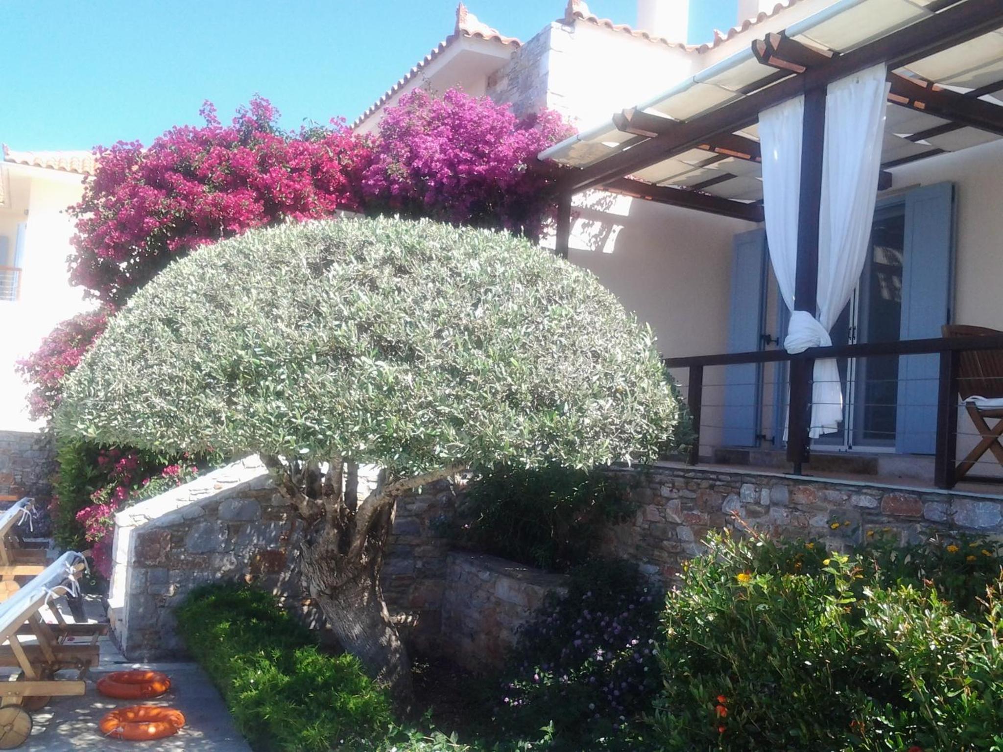 Superior Villa photo 2