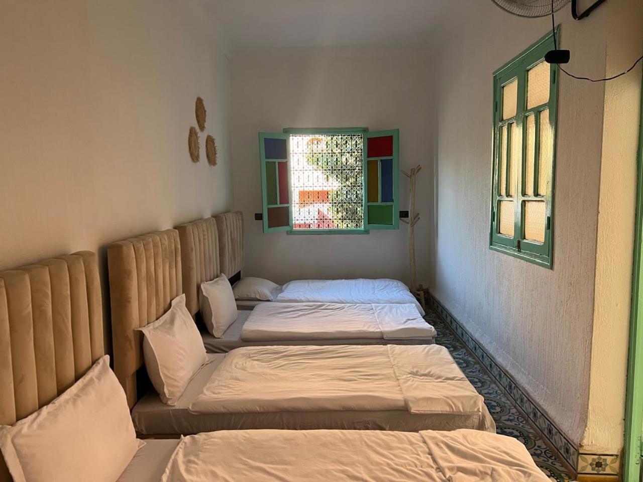 Bed in 6-Bed Female Dormitory Room photo 1