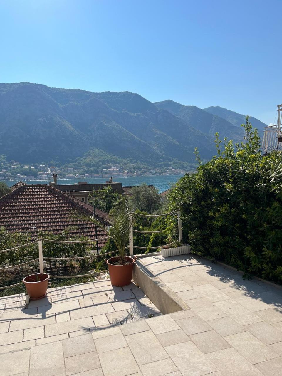 Studio with Garden View photo 1