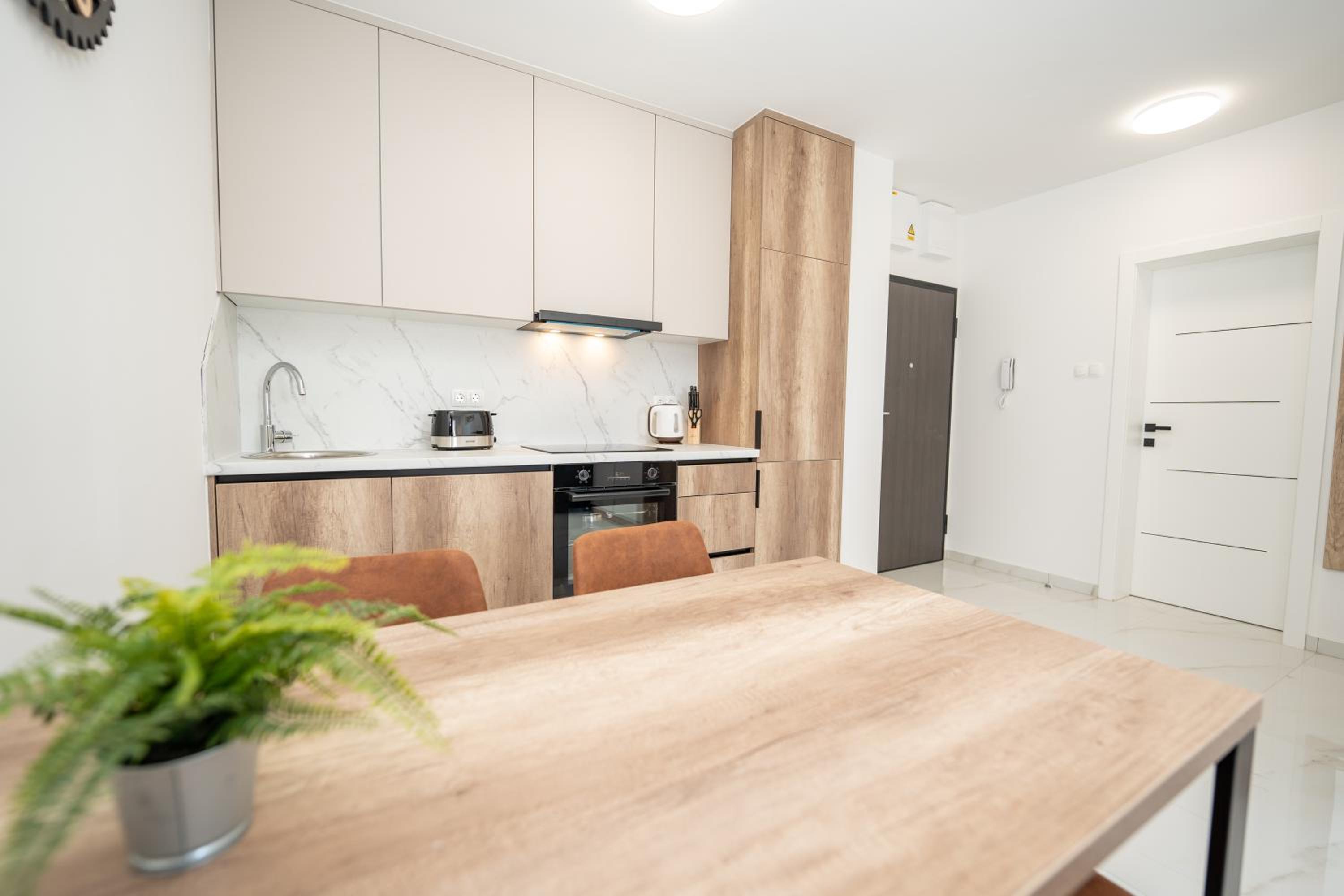 One-Bedroom Apartment with Terrace photo 1