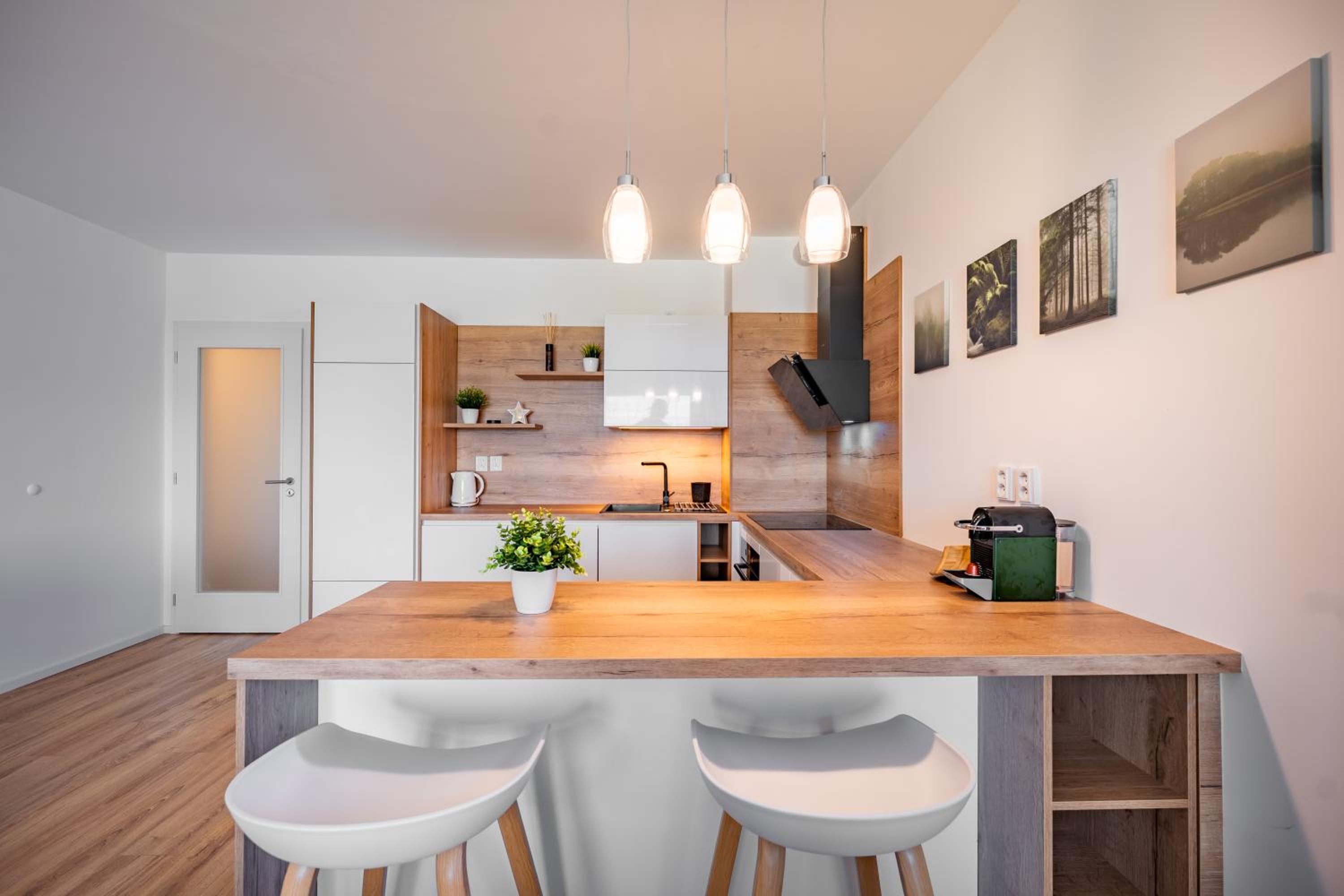 One-Bedroom Apartment with View photo 3