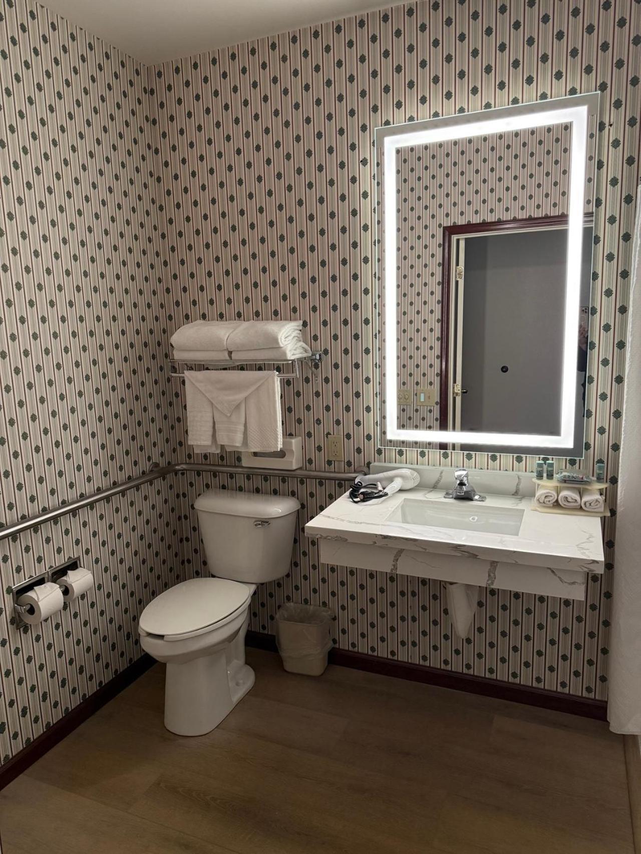 King Room - Disability Access - Photo 3