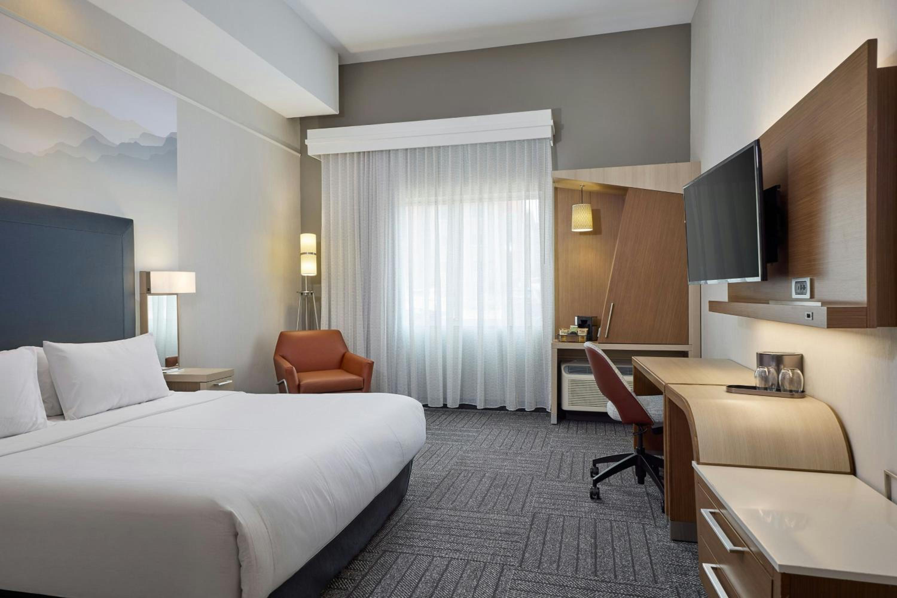 King Room with Sofa Bed