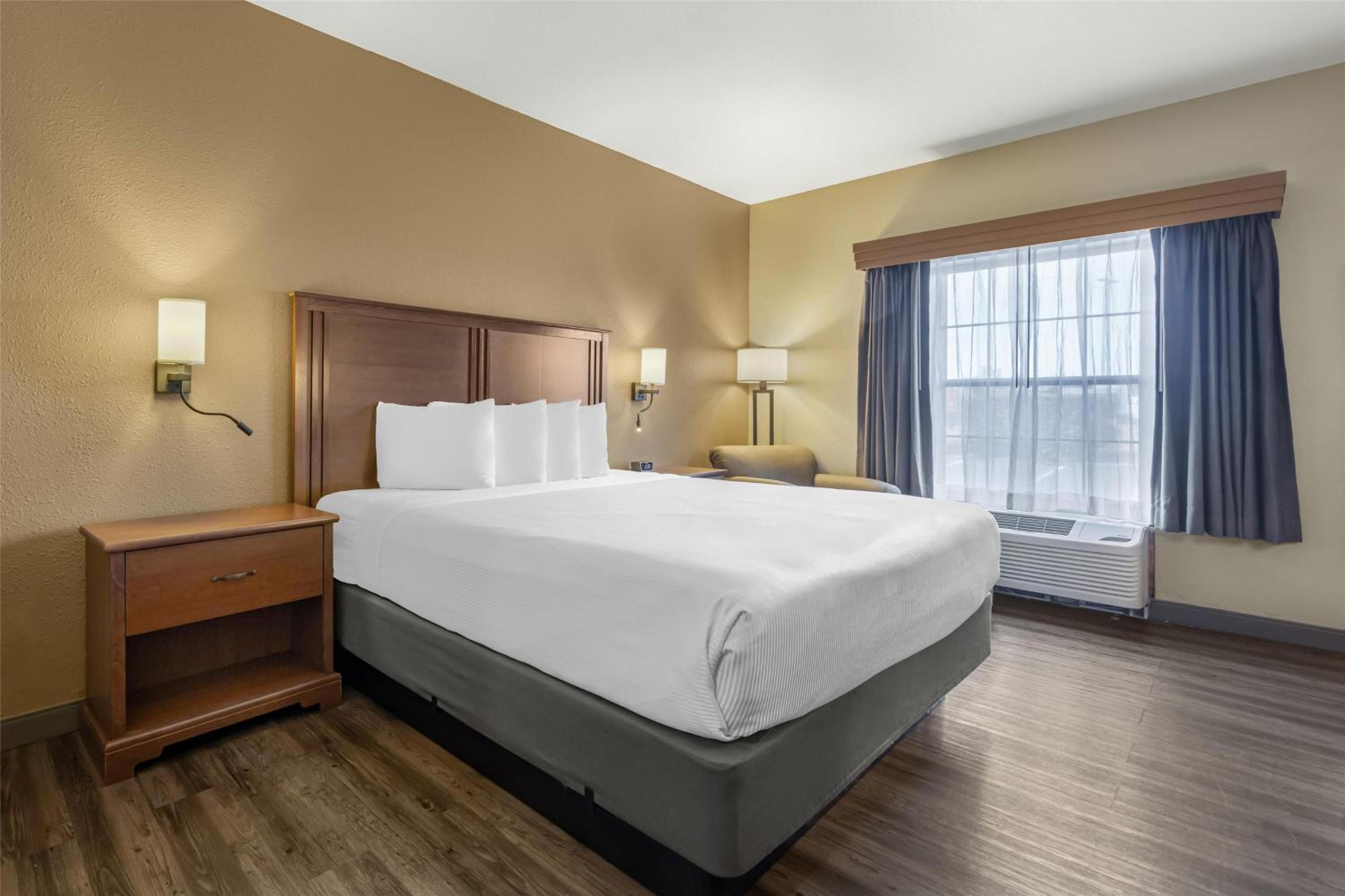 King Room - Pet Friendly/Non-Smoking photo 1