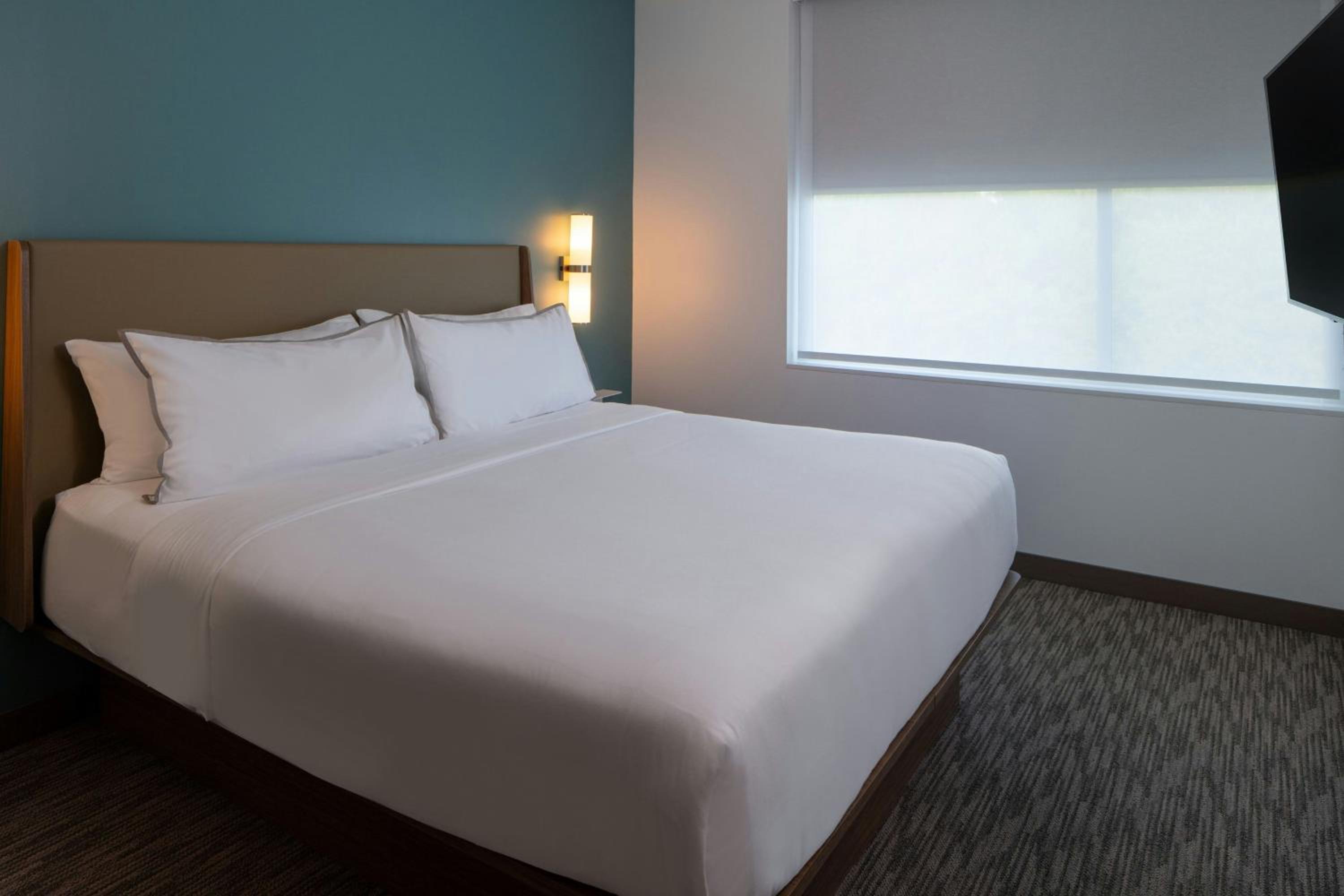 One-Bedroom Queen Wellness Suite with Sofa Bed - Mobility/Hearing Accessible with Tub photo 1