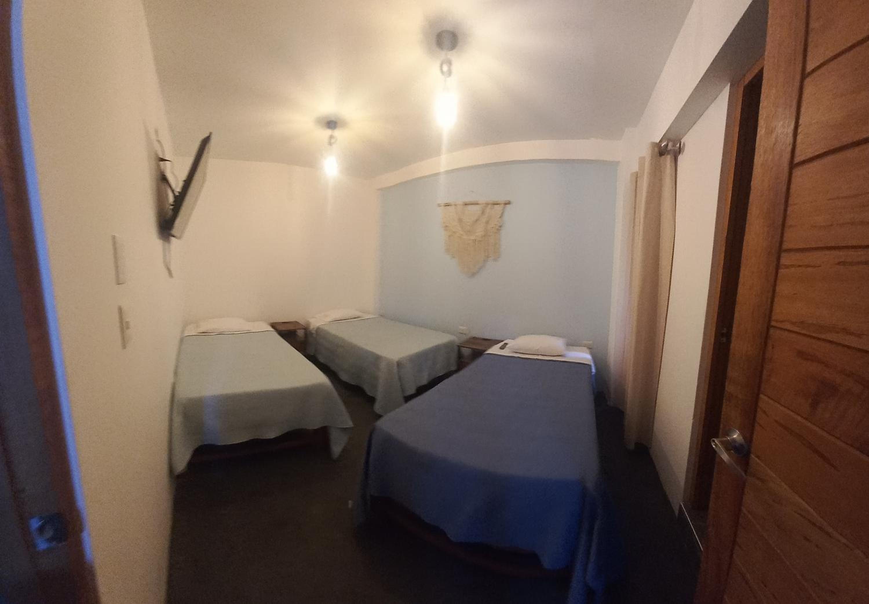 Twin Room photo 1