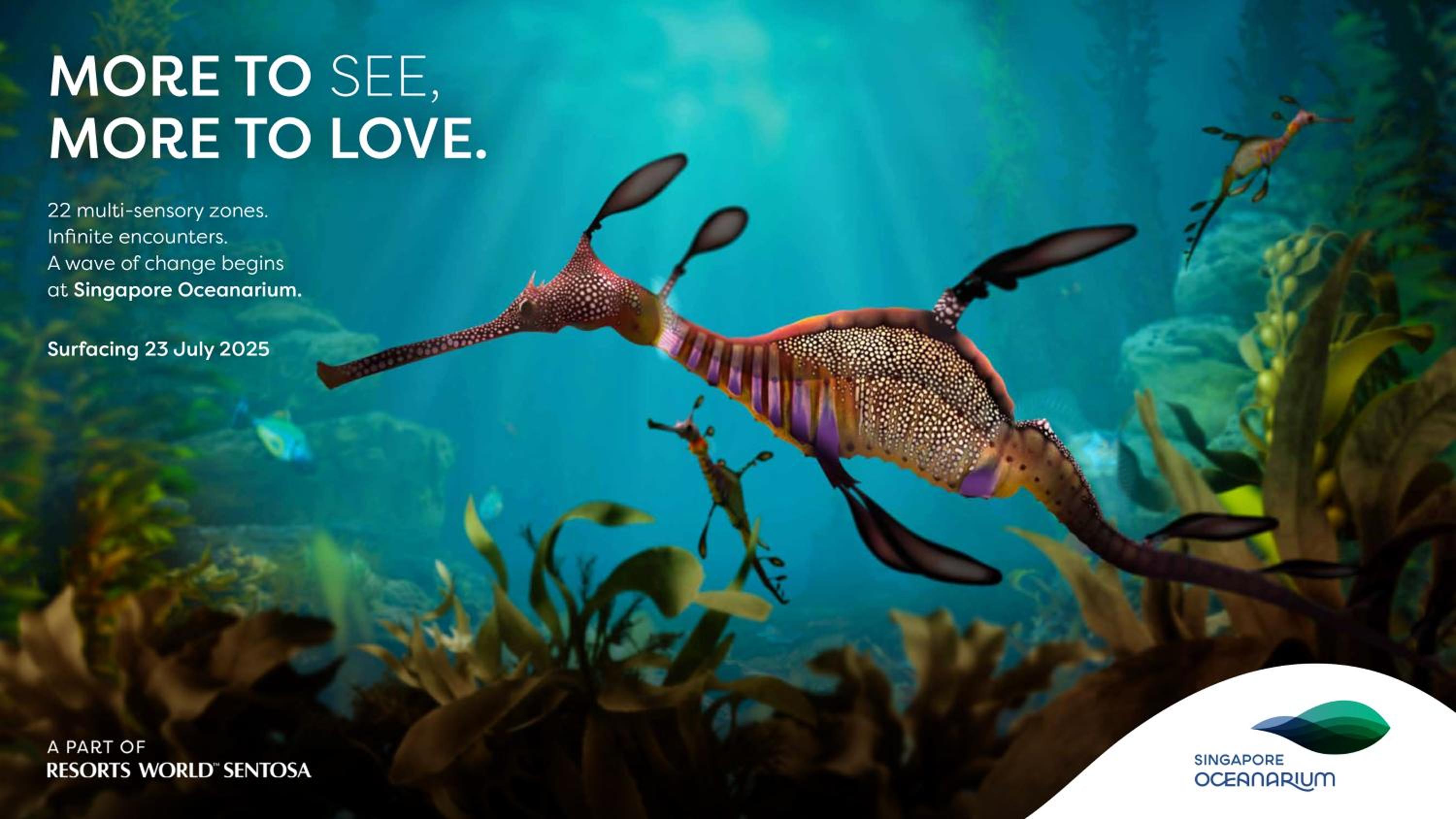 3D2N Seas The Day Package - Deluxe Room with complimentary One-Day Tickets for 2 People to Singapore Oceanarium