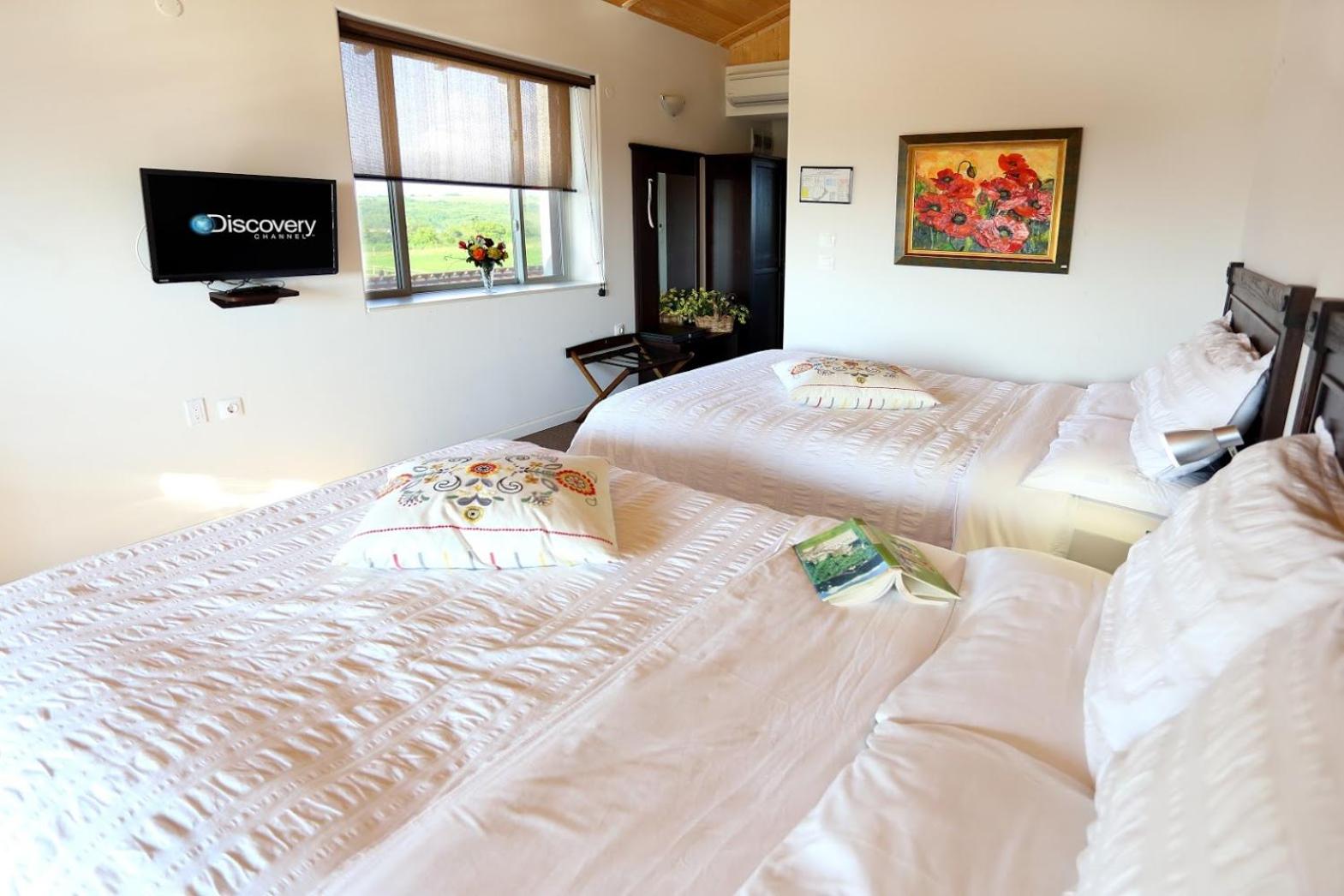 Quadruple Room with Terrace and Vineyards & River View photo 3