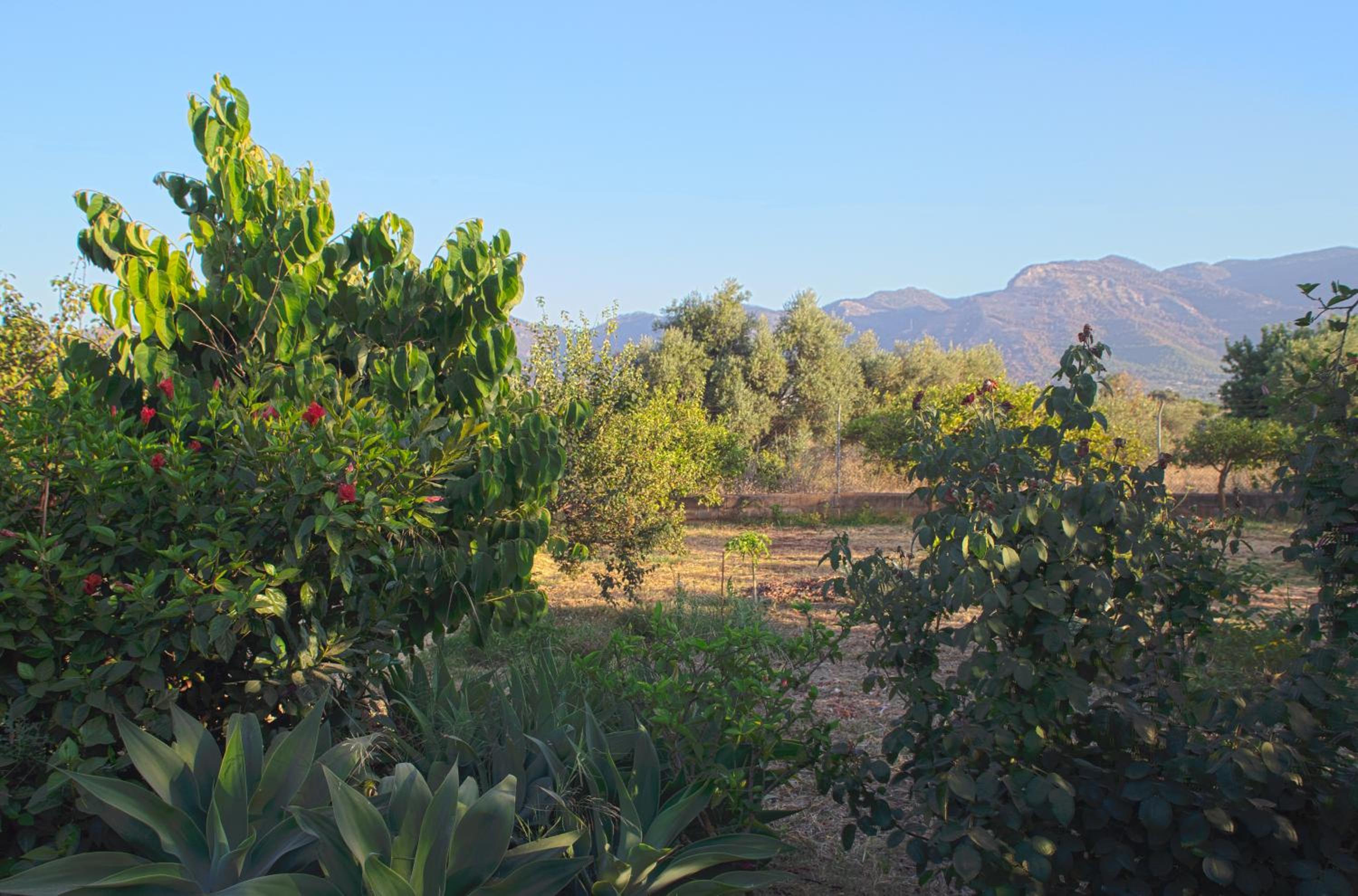 Vacation Home photo 2
