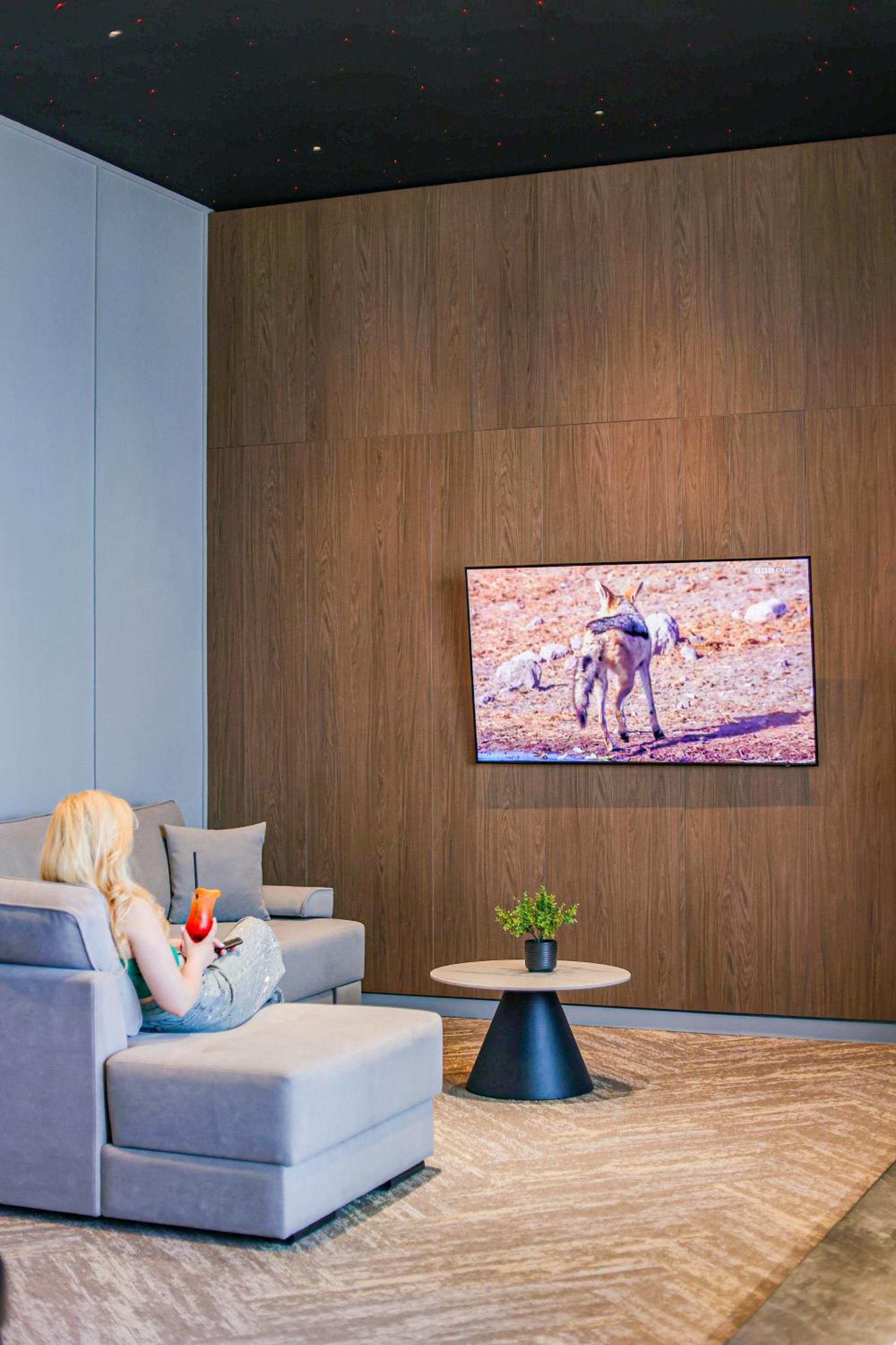 Deluxe One-Bedroom Apartment with City View