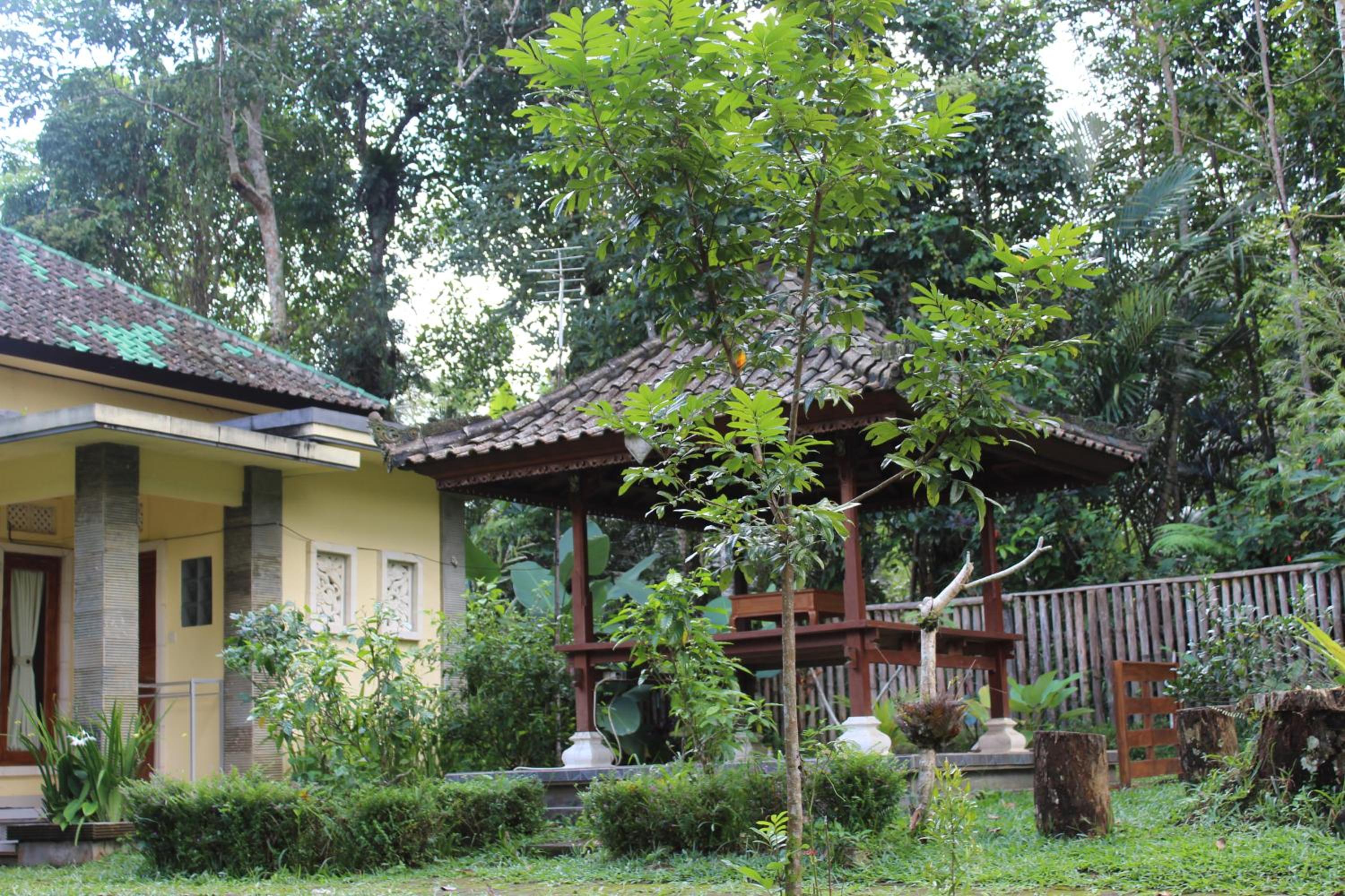 Family Bungalow - Photo 13