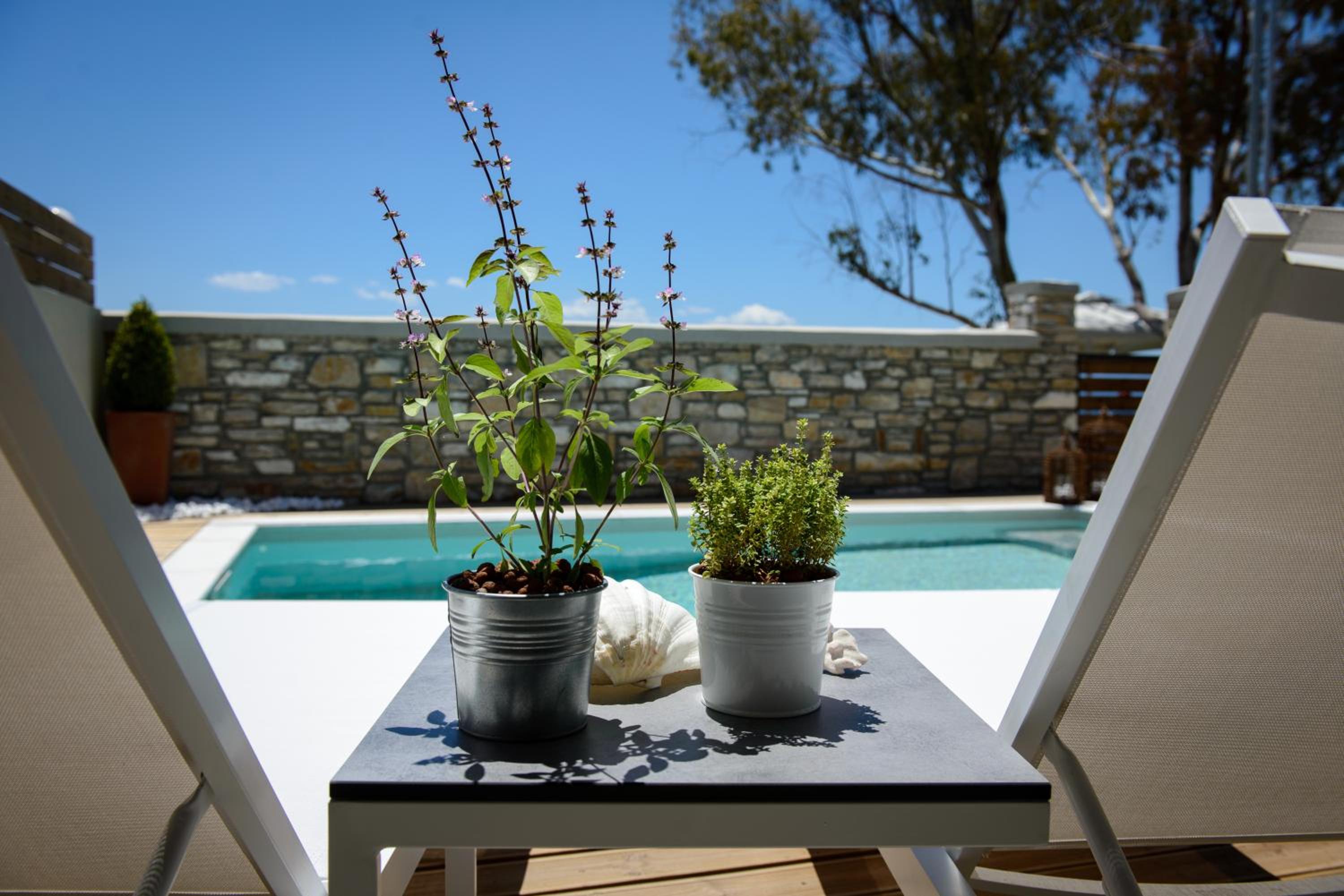 Villa (6 Adults) - Beach Front with Private Pool photo 3